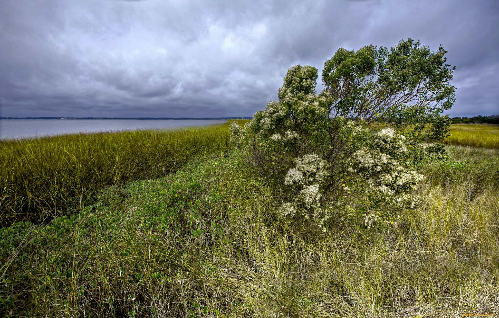 природа, побережье, берег, море
