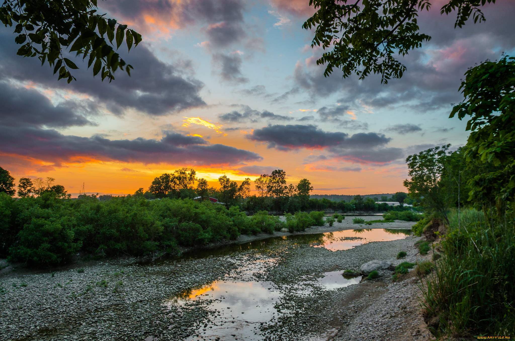 природа, реки, озера, лес, река
