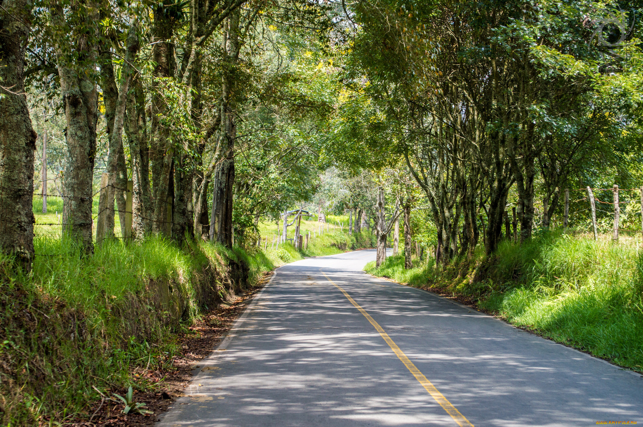 природа, дороги, тракт