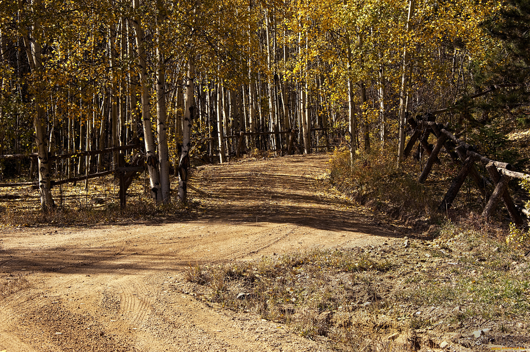 природа, дороги, тракт