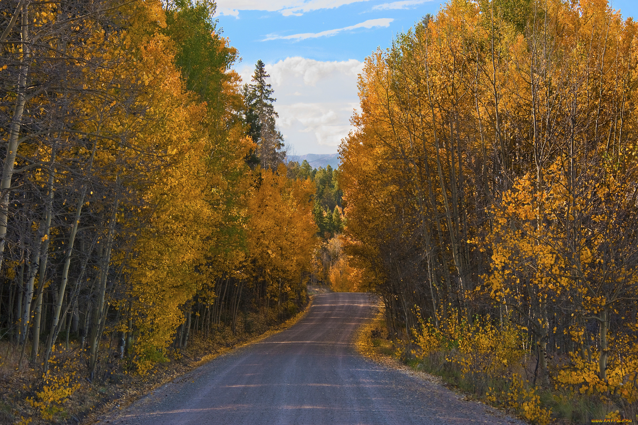 природа, дороги, тракт