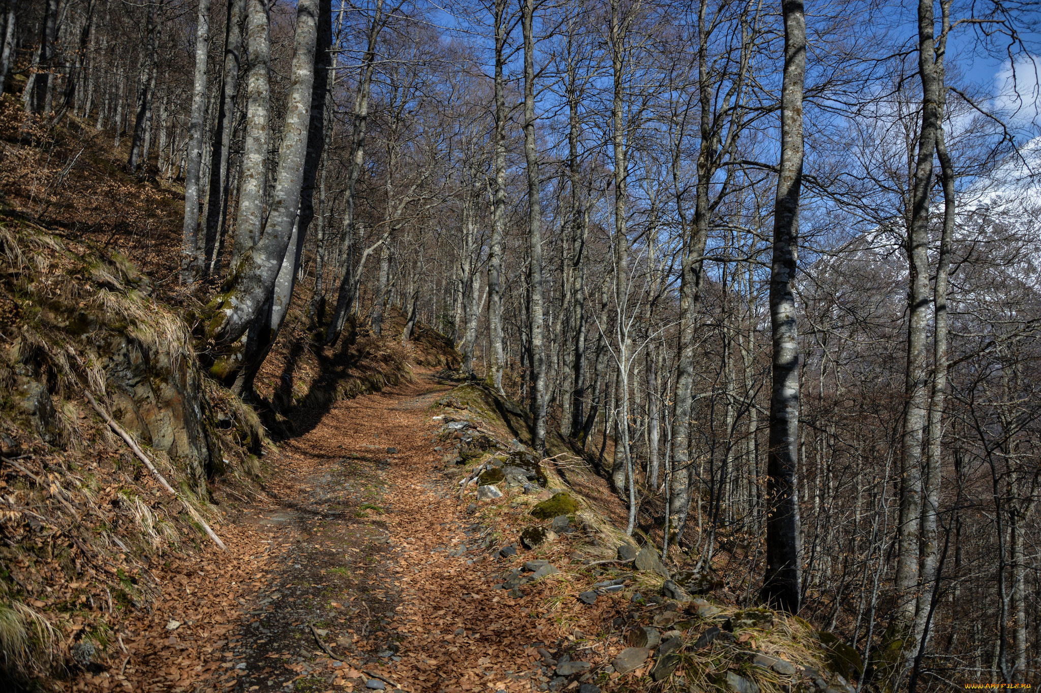 природа, дороги, тракт