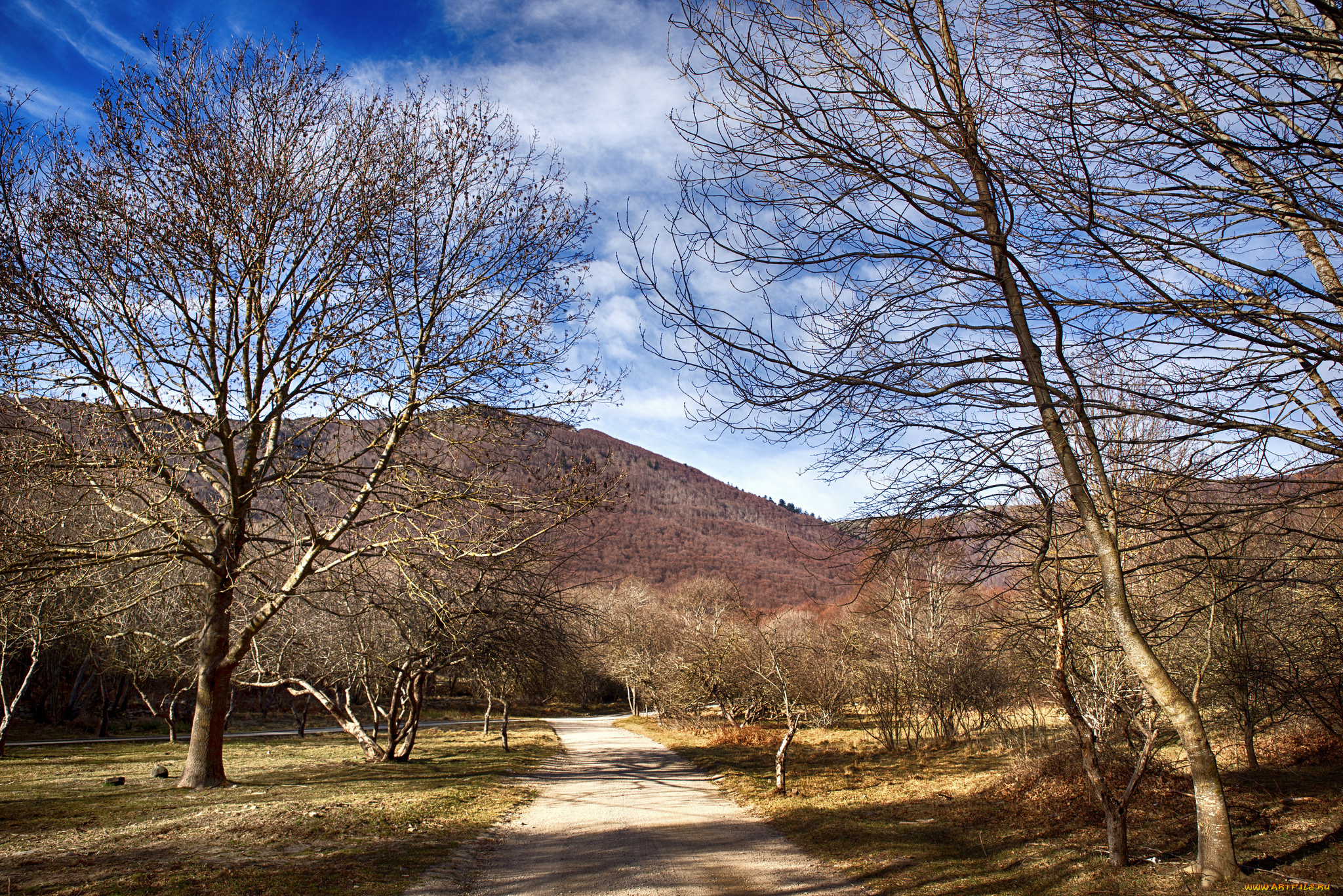 природа, дороги, тракт