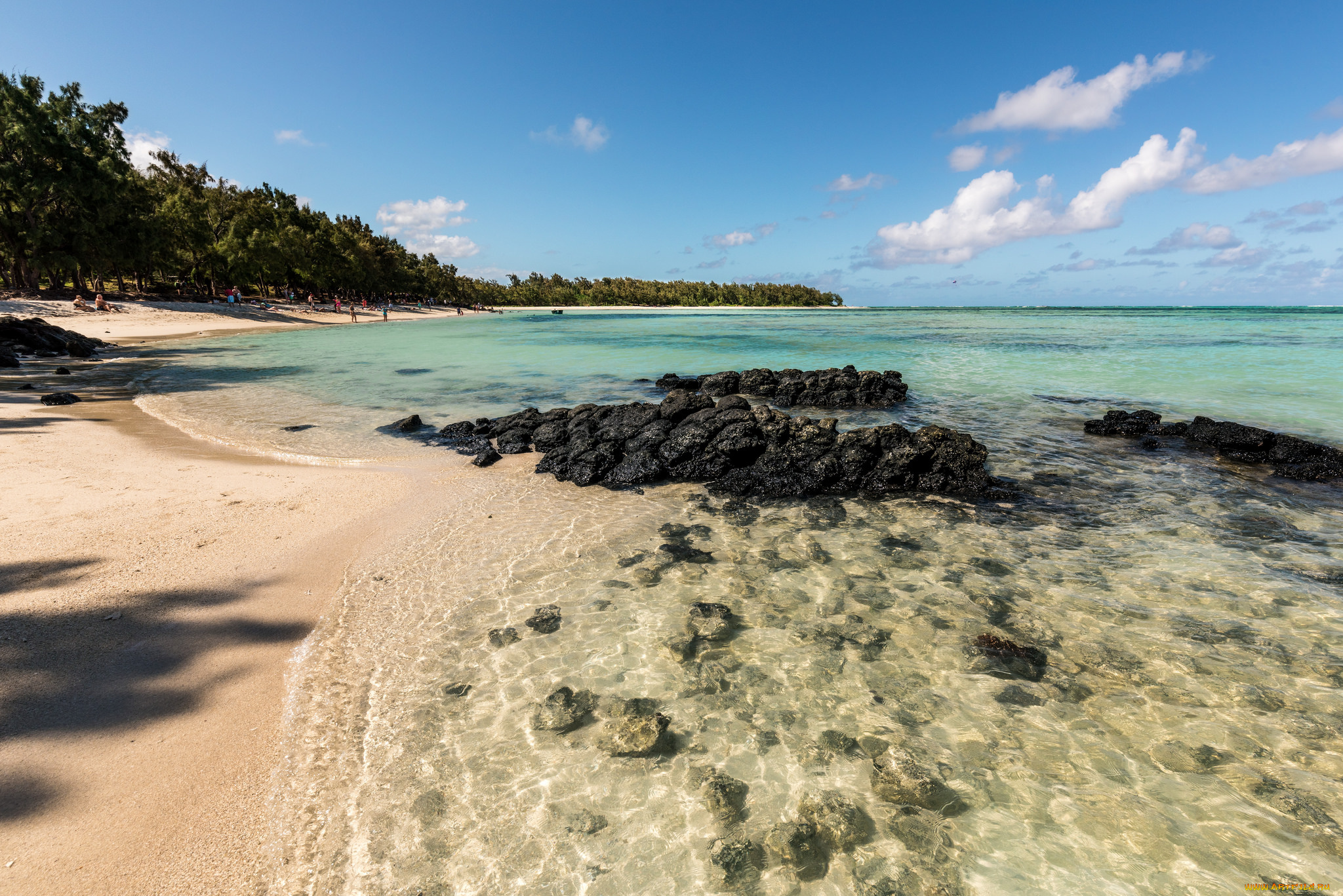 природа, побережье, берег, море