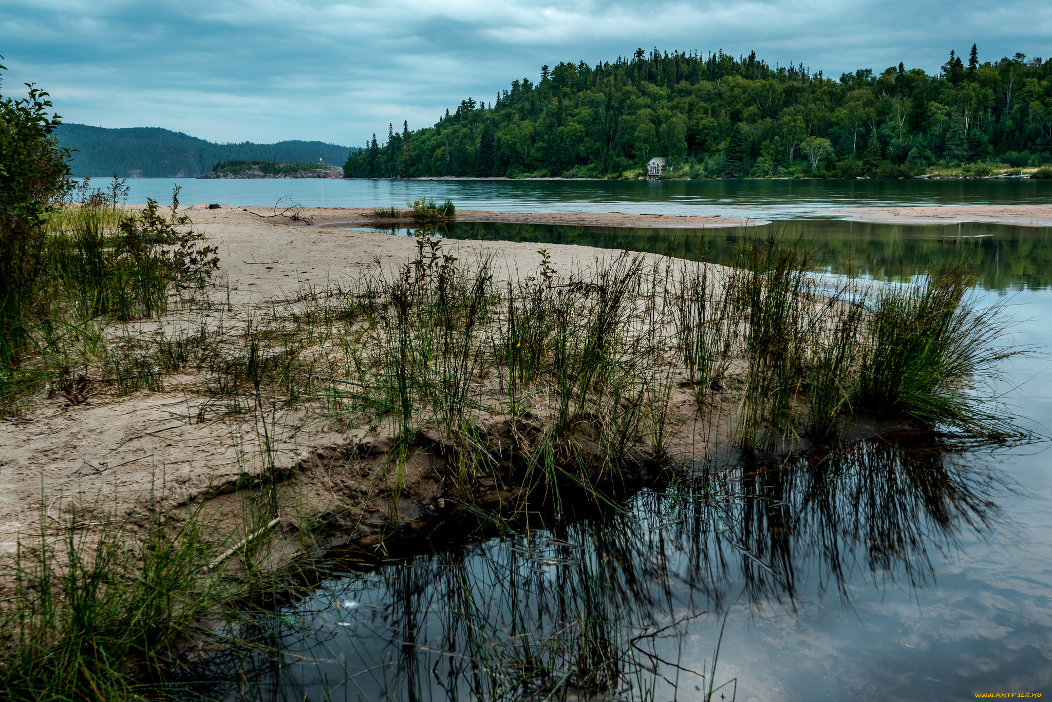 природа, реки, озера, река, лес