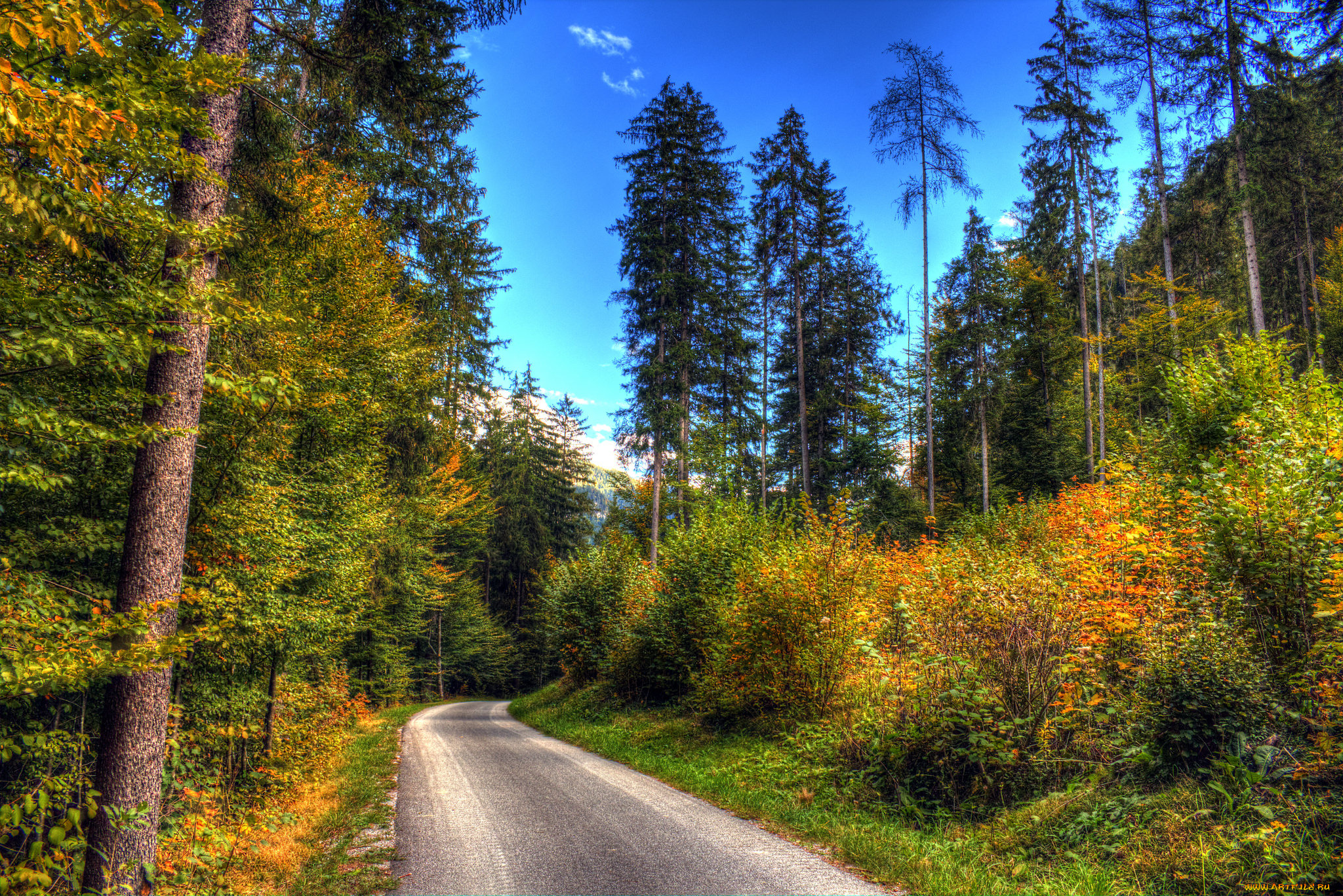 природа, дороги, тракт