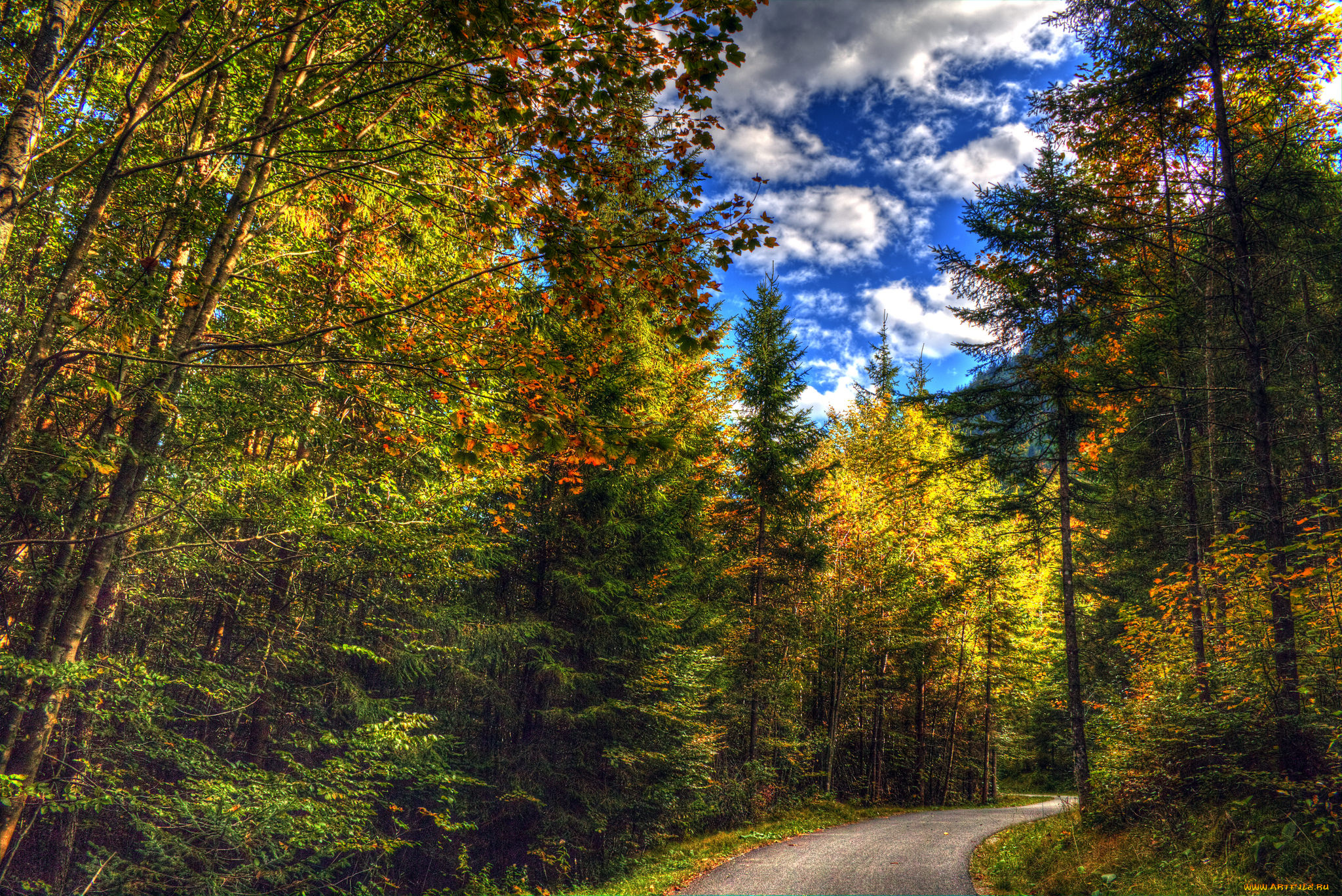 природа, дороги, тракт