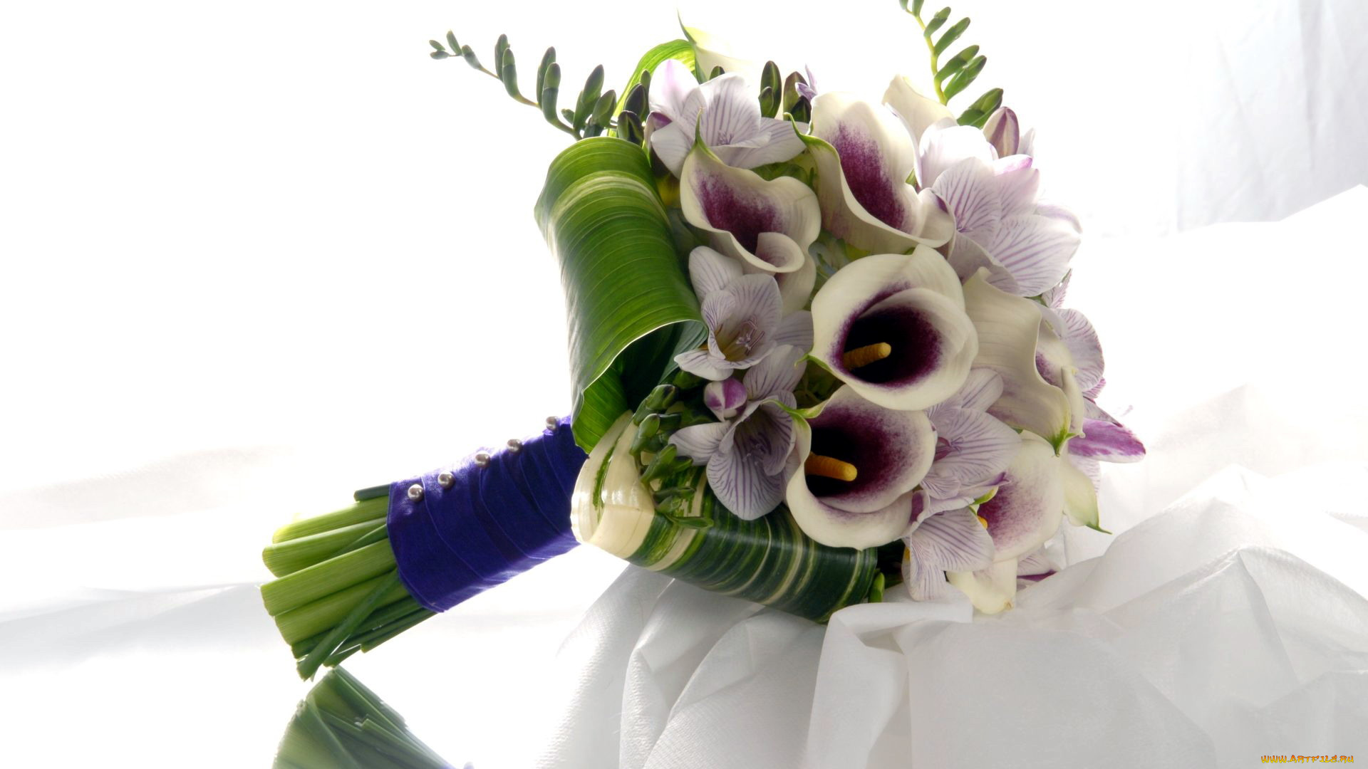 цветы, букеты, , композиции, альстромерия, каллы