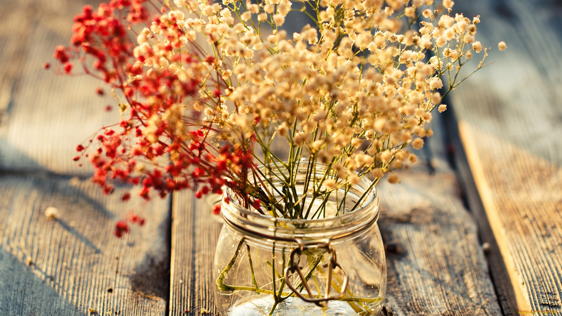 цветы, букеты, , композиции, доски, банка, букет