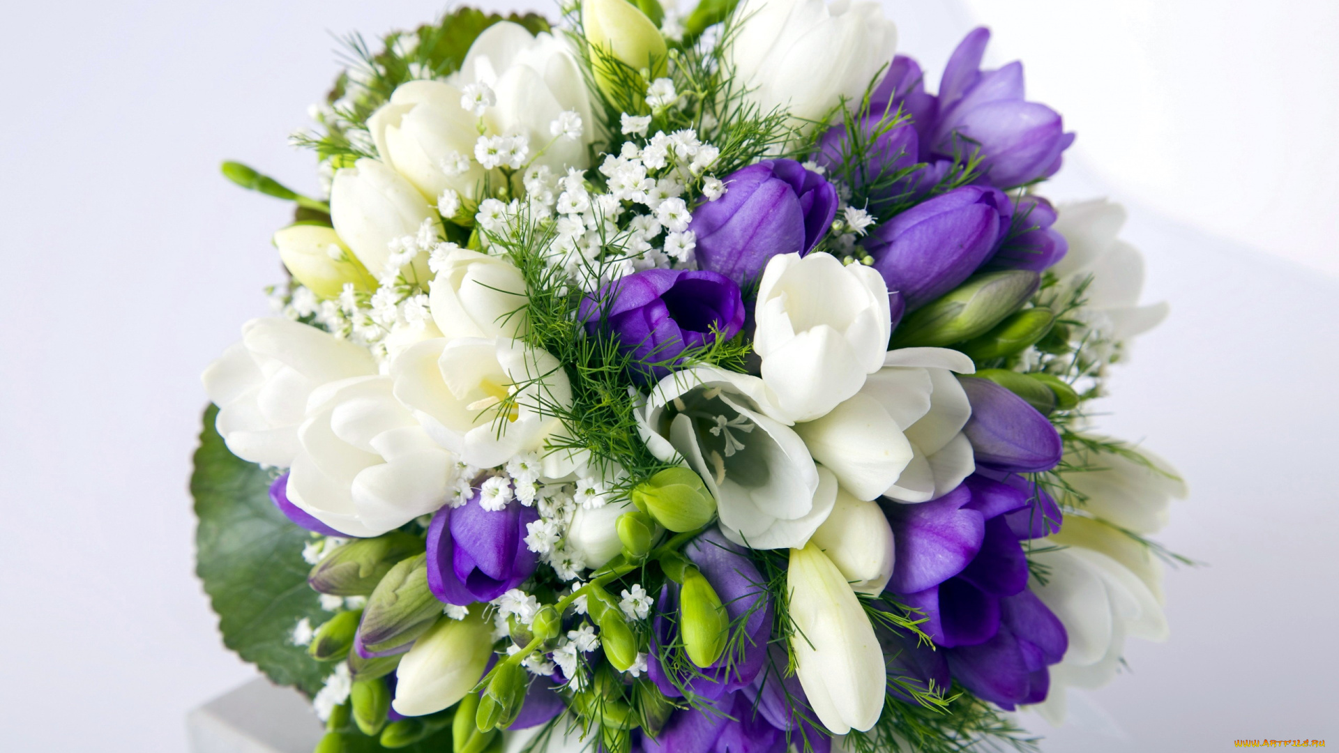 цветы, букеты, , композиции, фрезии, зелень