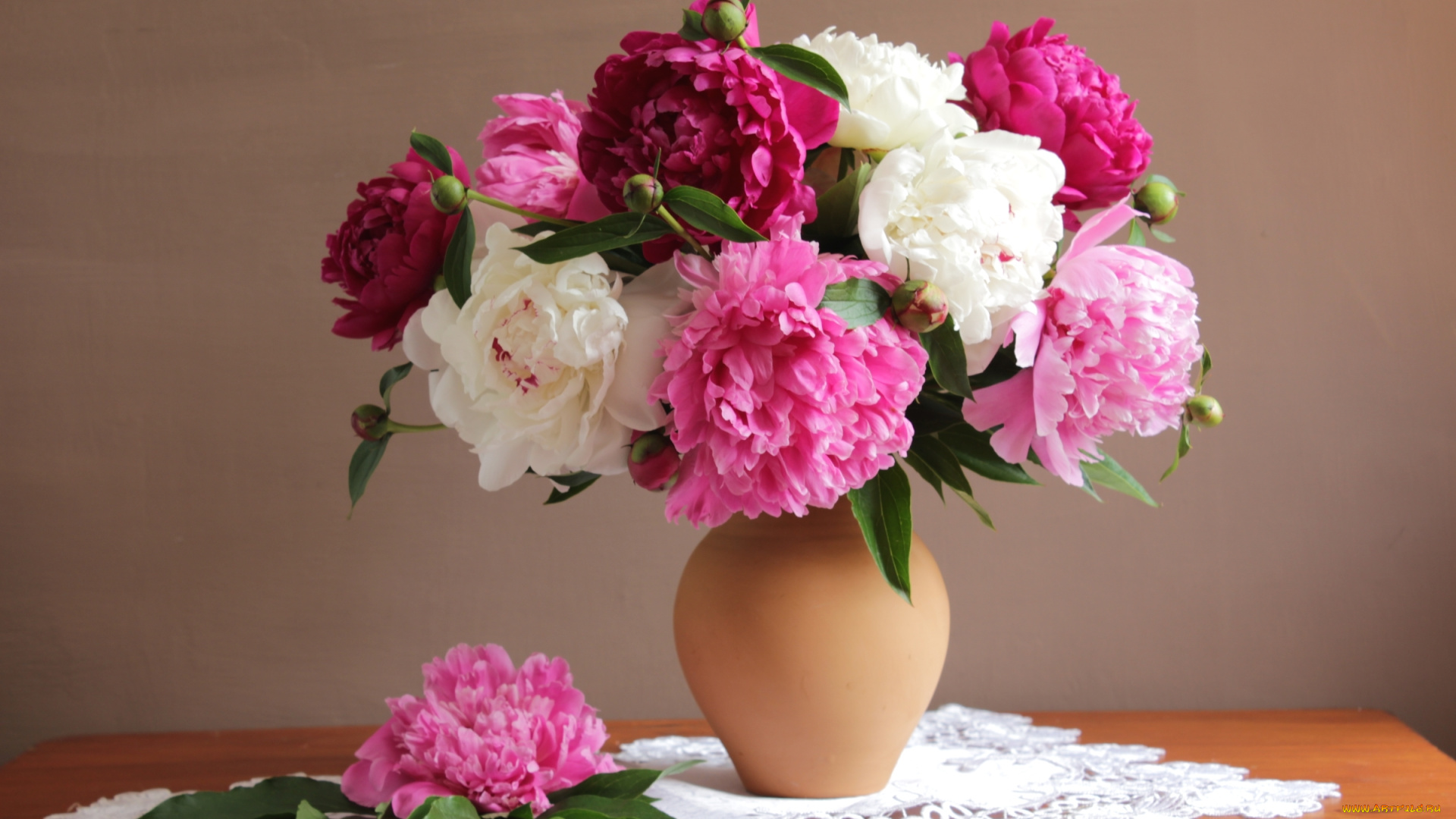 цветы, пионы, разноцветный, букет