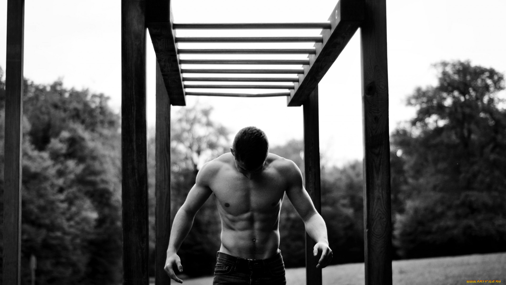 мужчины, -, unsort, торс