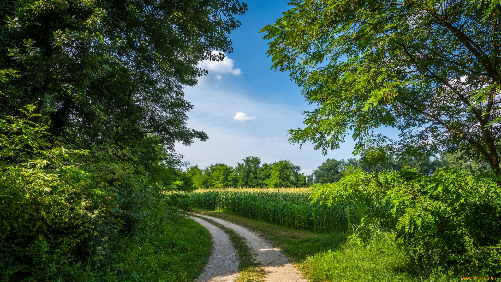 природа, дороги, тракт