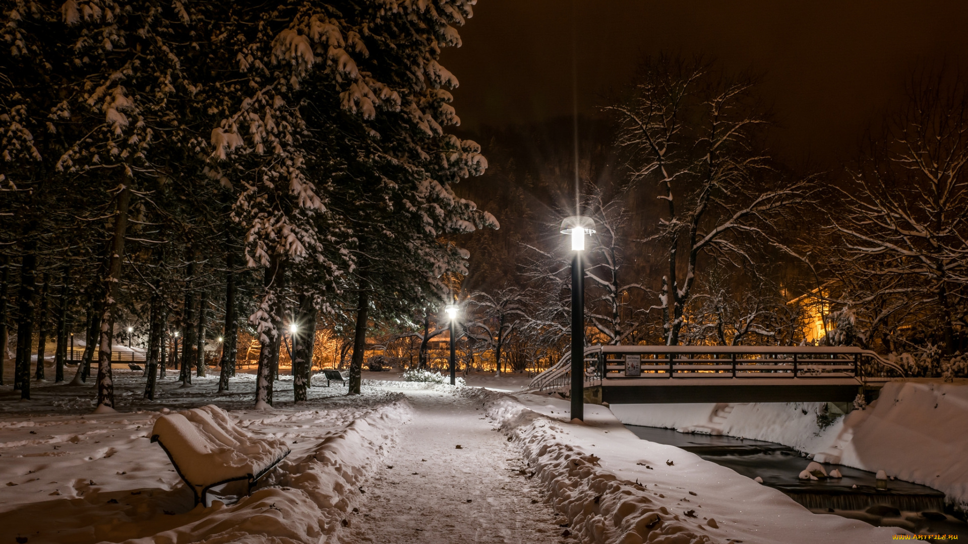 природа, парк, фонари, ночь