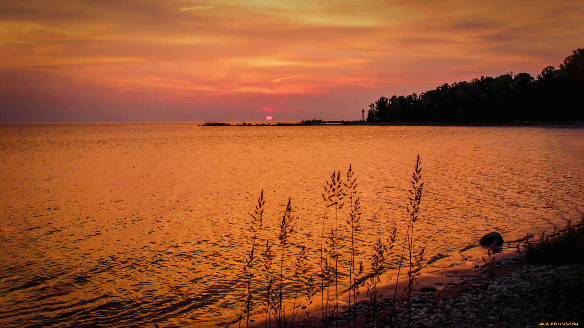 природа, побережье, рассвет