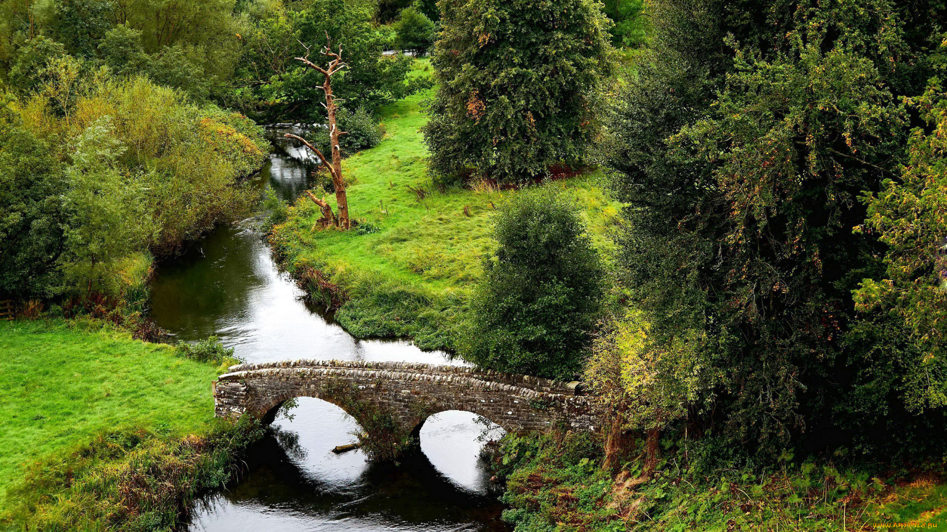 природа, реки, озера, деревья, река, каменный, мостик