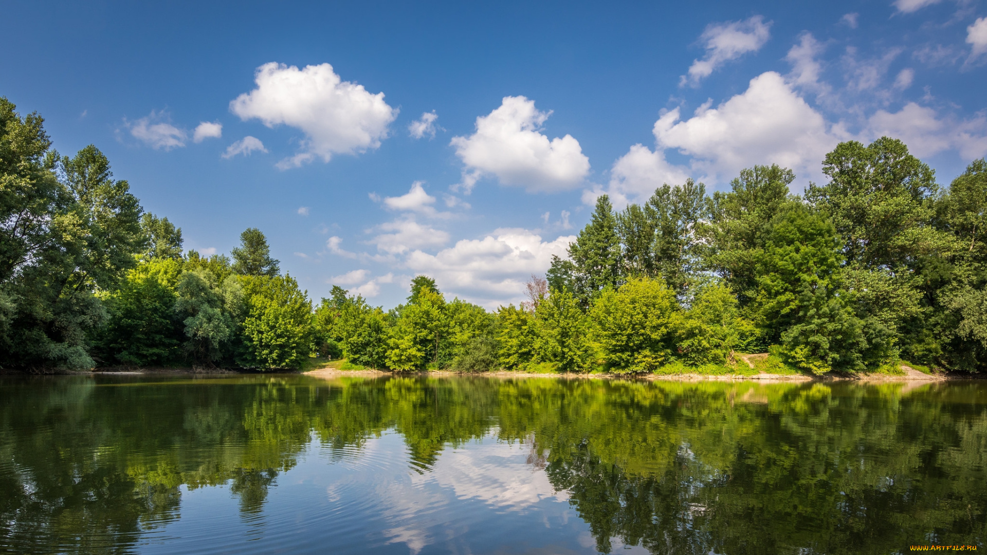 природа, реки, озера, лес, река