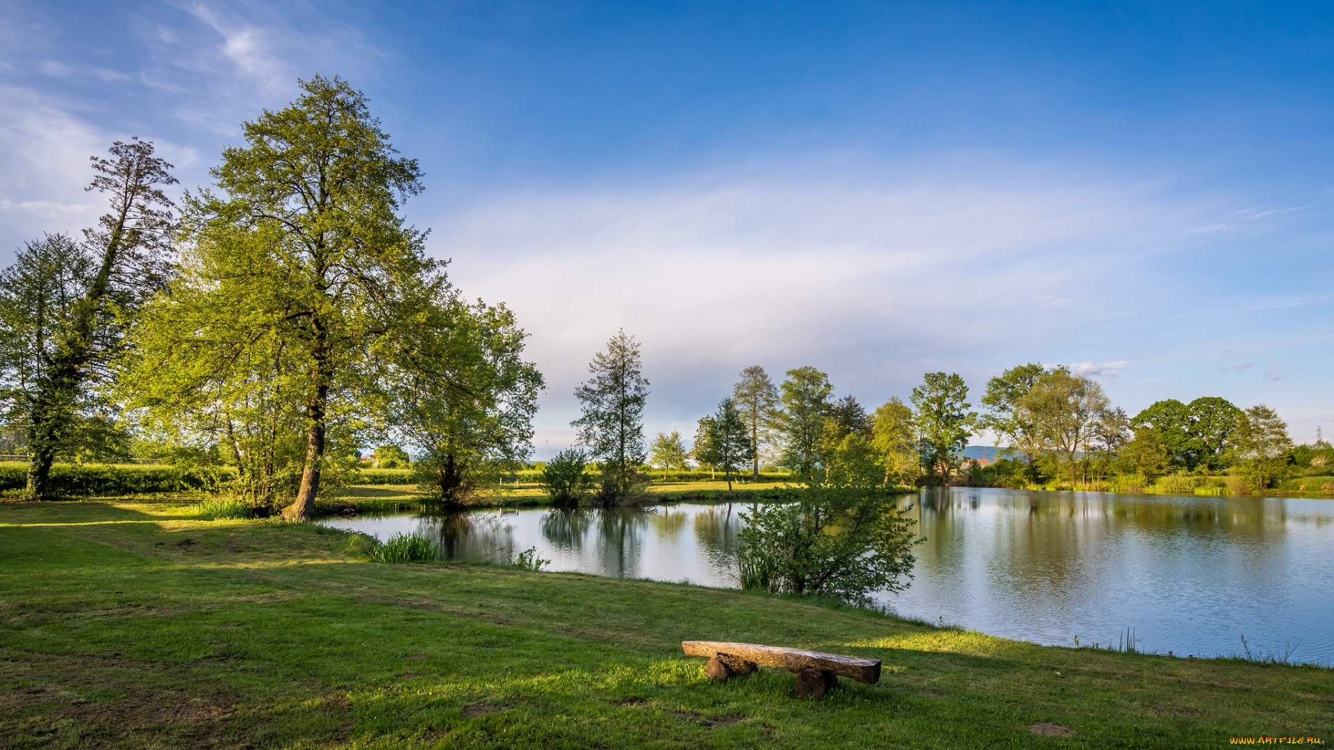 природа, реки, озера, лес, река