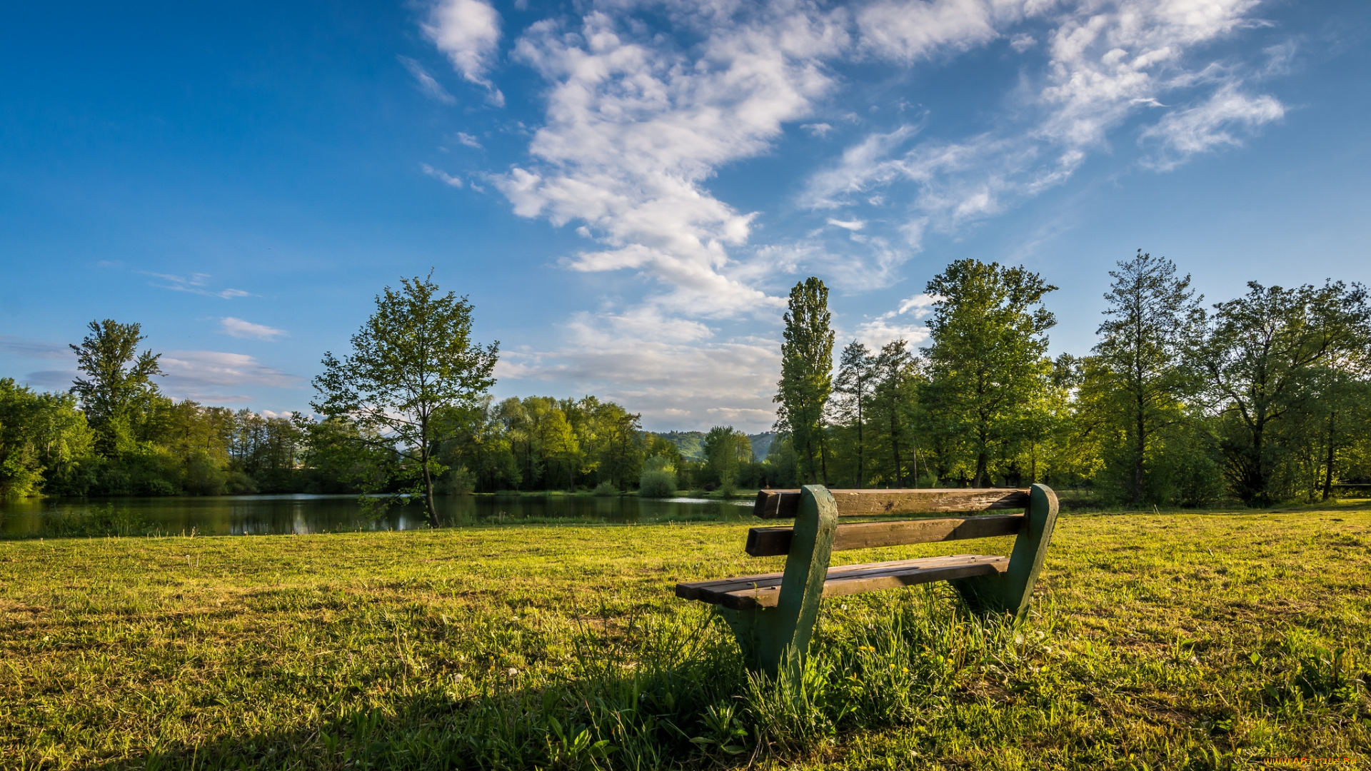 природа, реки, озера, река, лес