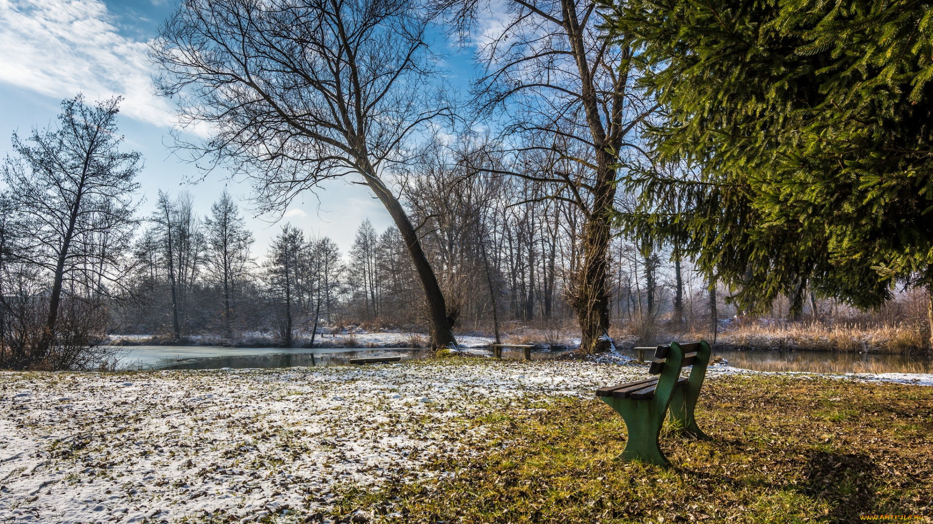 природа, реки, озера, река, лес