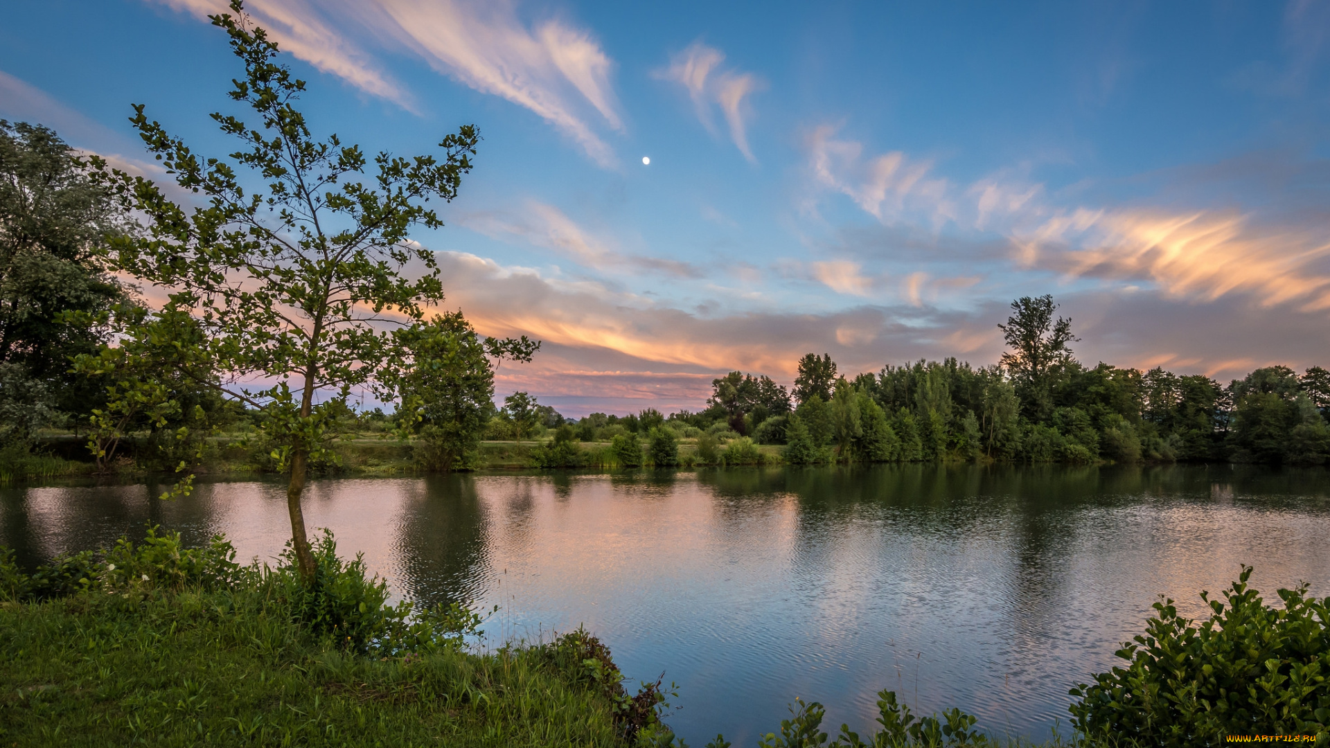 природа, реки, озера, река, лес