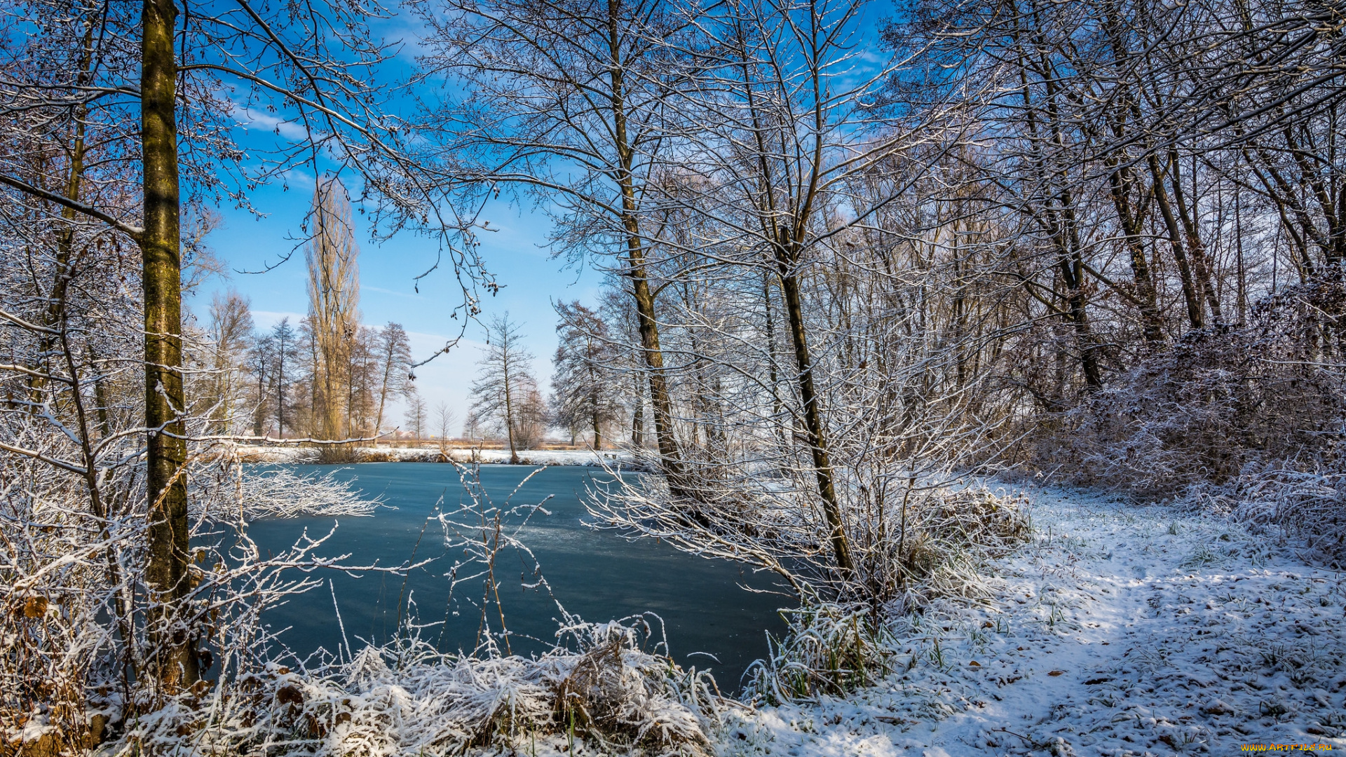 природа, реки, озера, река, лес