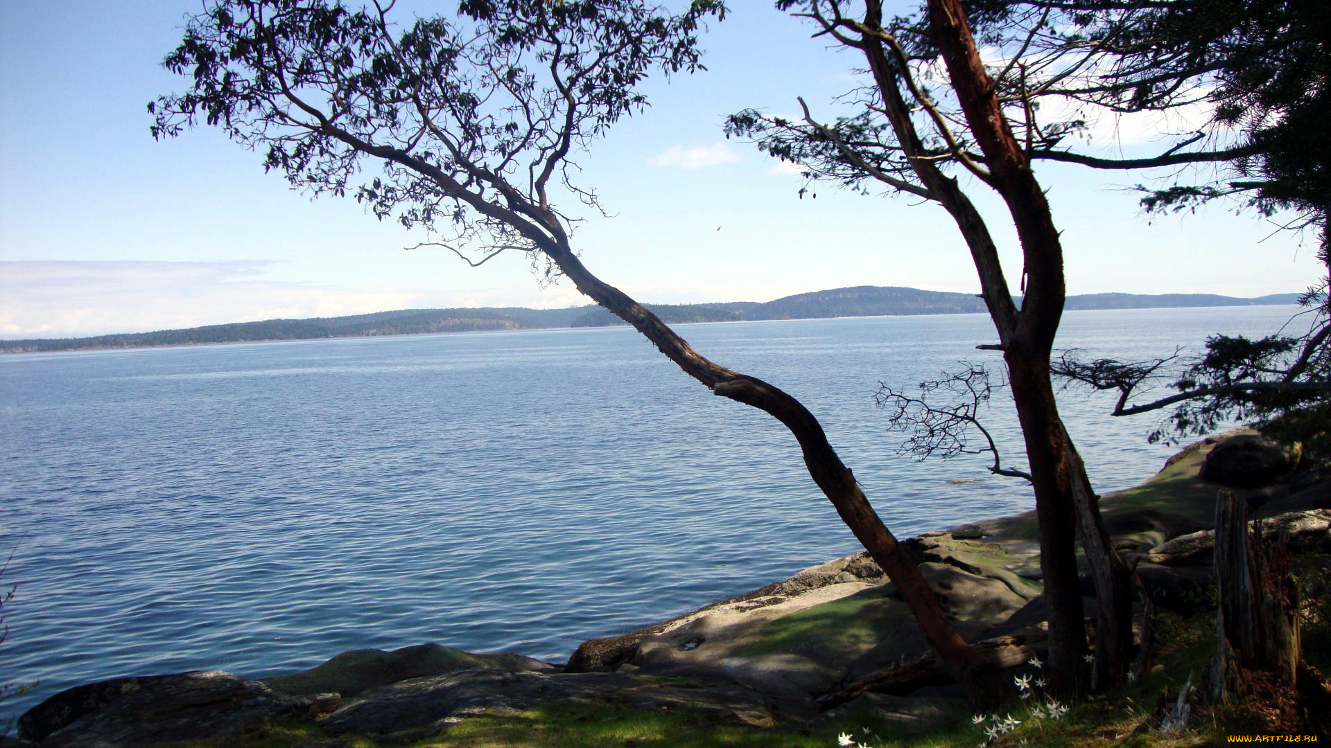 природа, реки, озера, водный, простор