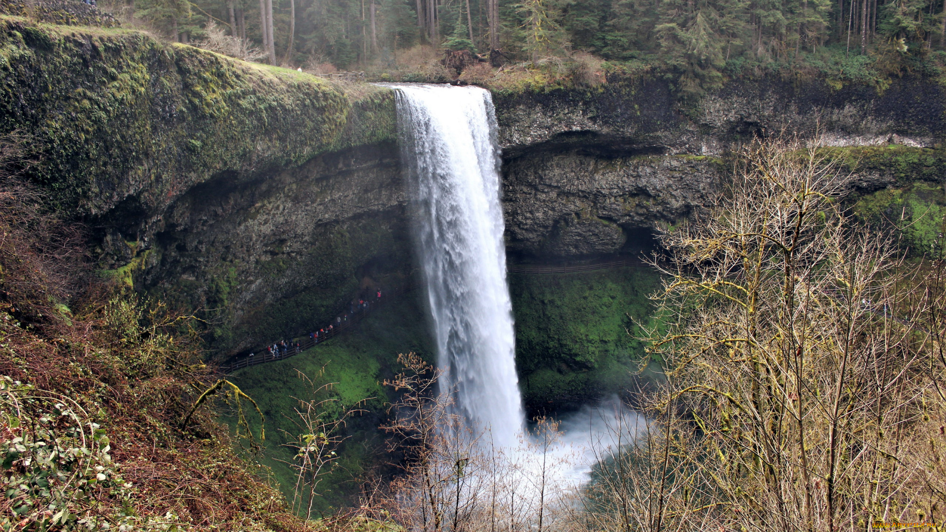 природа, водопады, поток