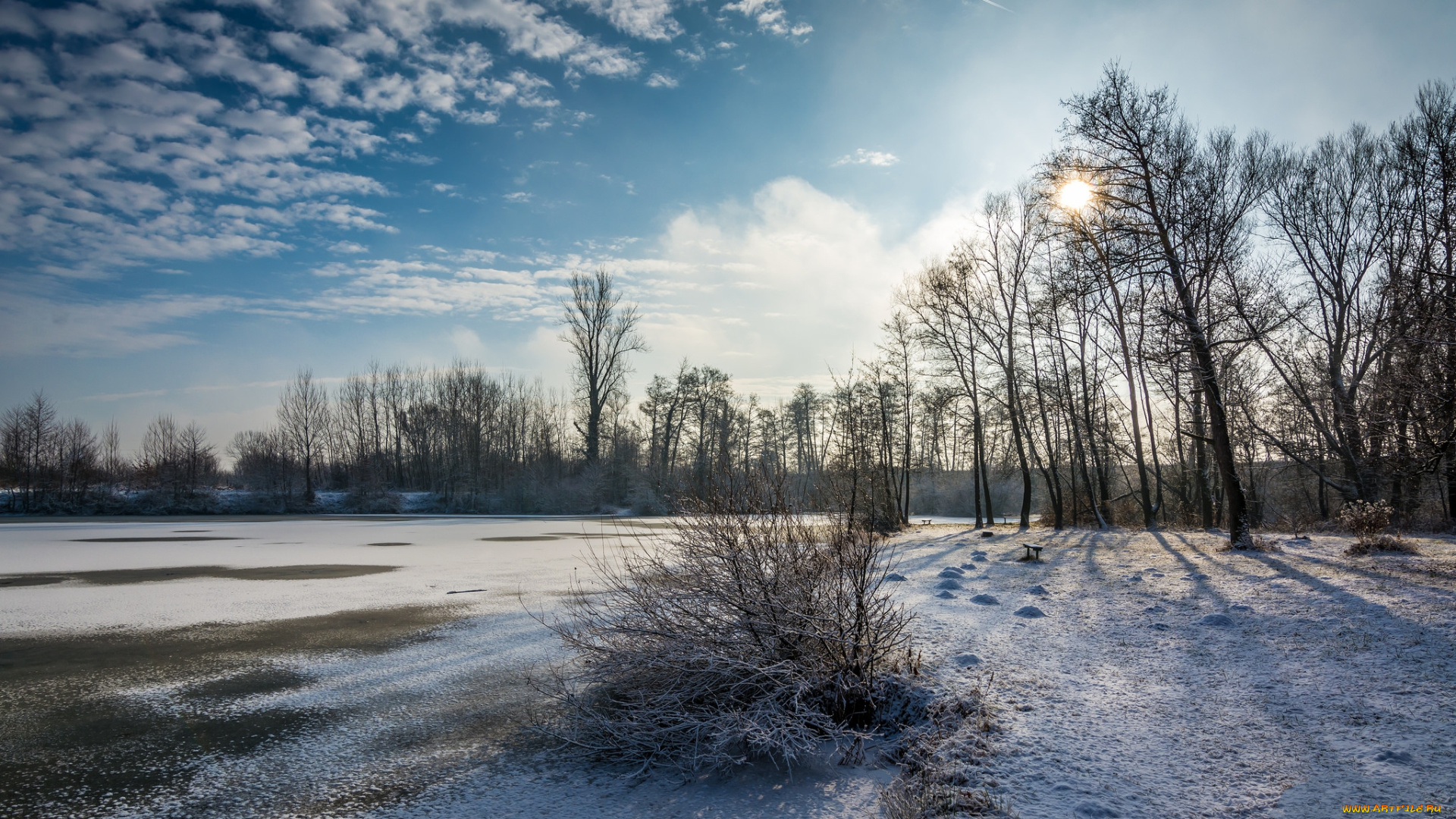 природа, зима, река, лес