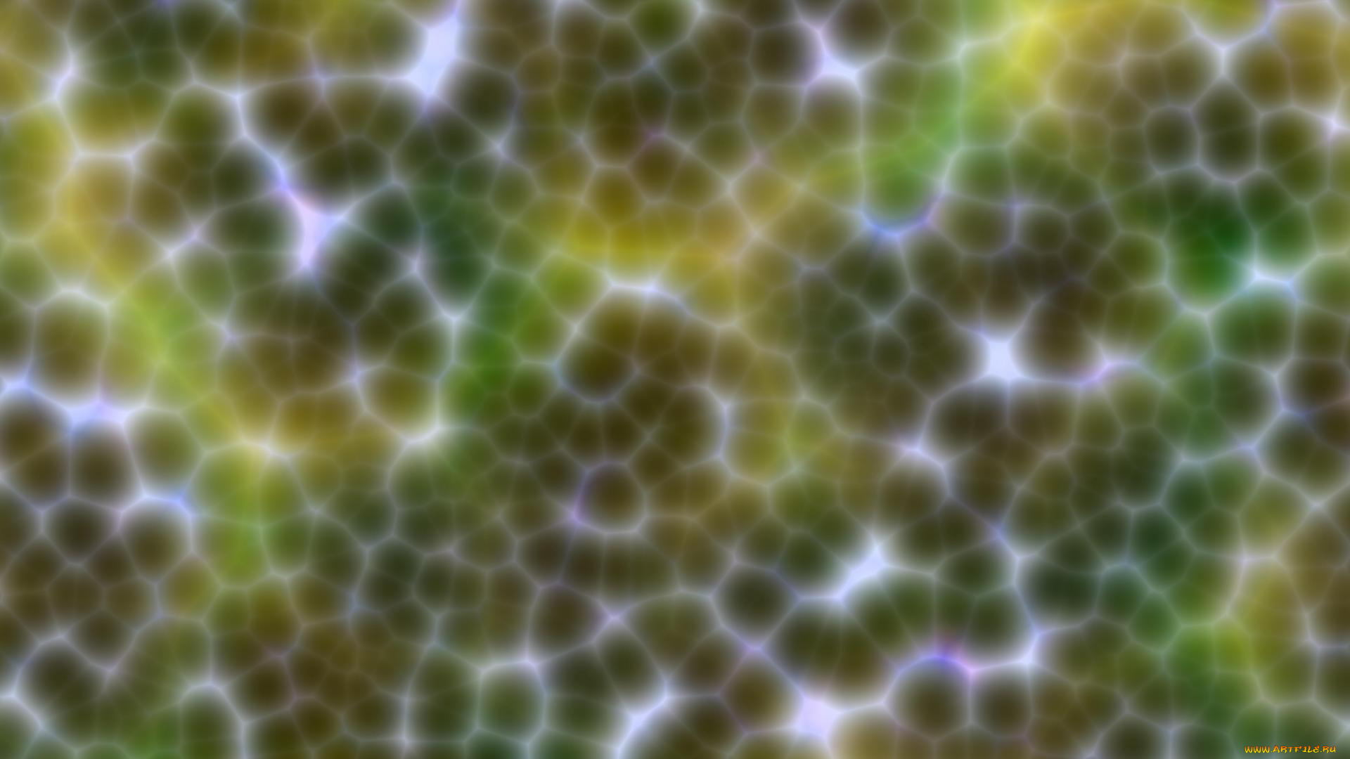 векторная, графика, графика, , graphics, цвета, фон, узор