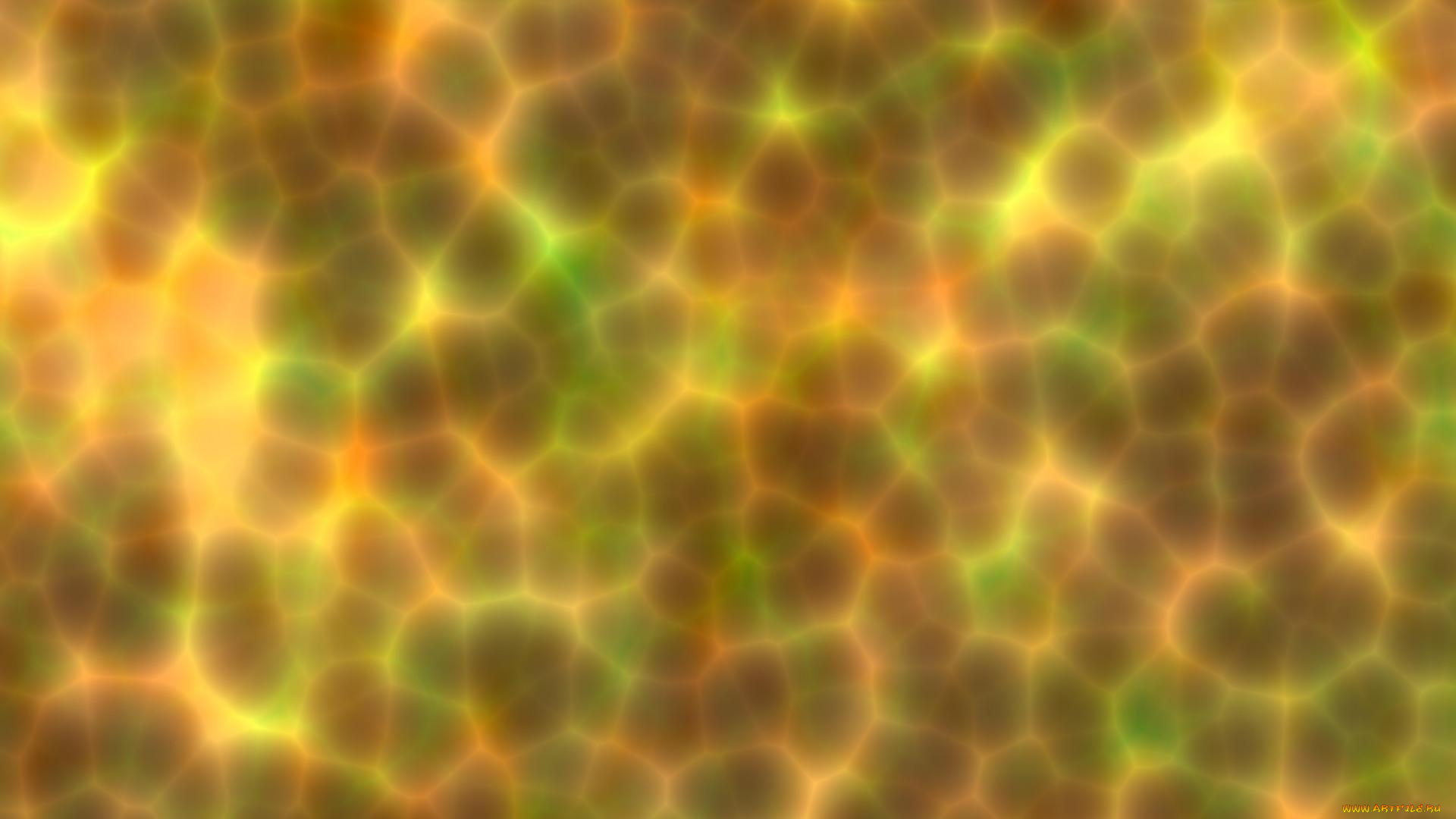 векторная, графика, графика, , graphics, фон, цвета, узор