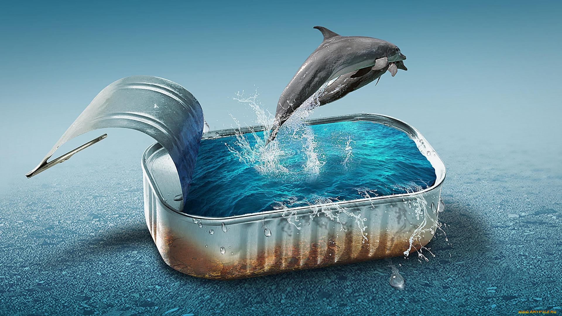 юмор, и, приколы, дельфины, вода, банка
