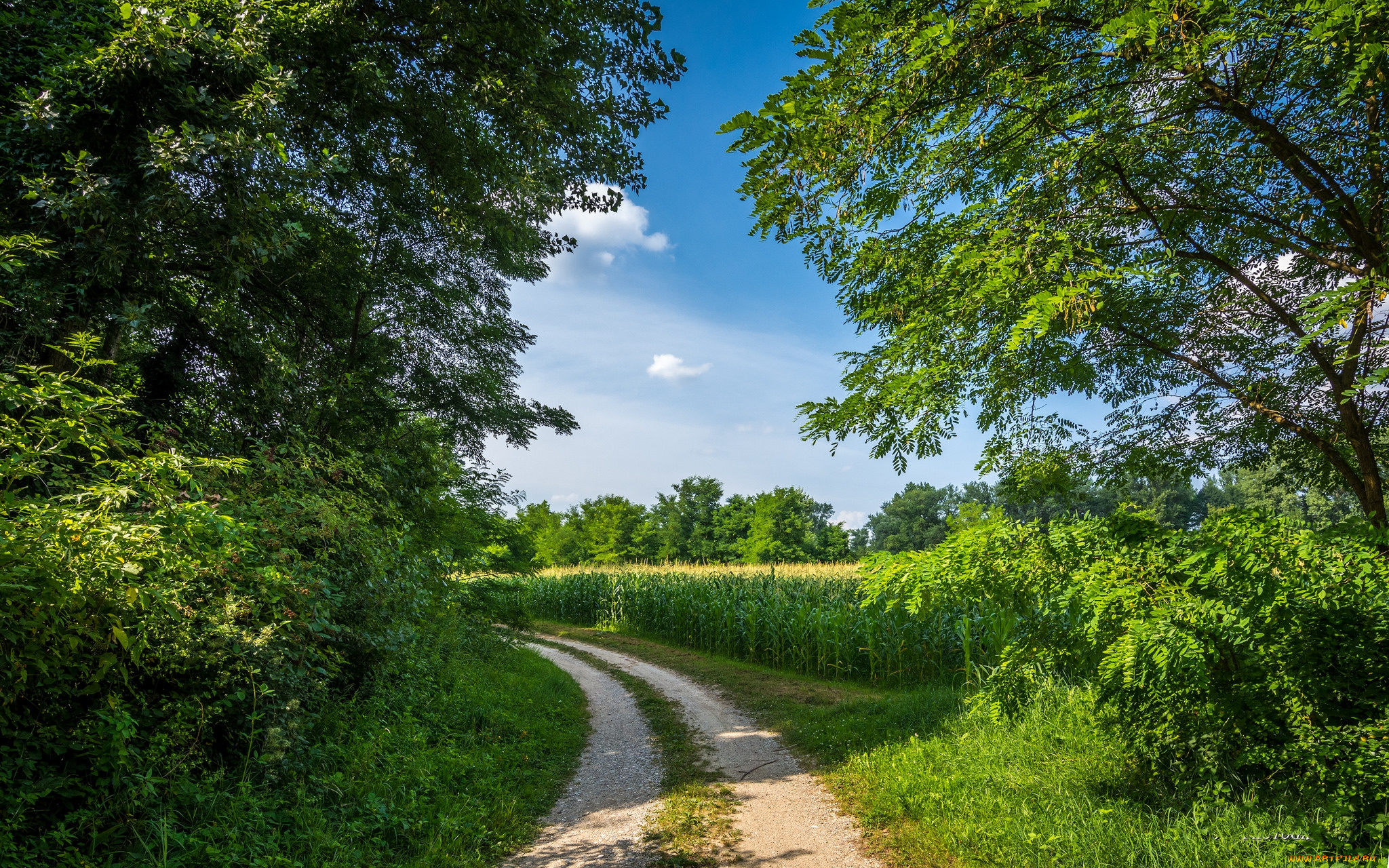 природа, дороги, тракт