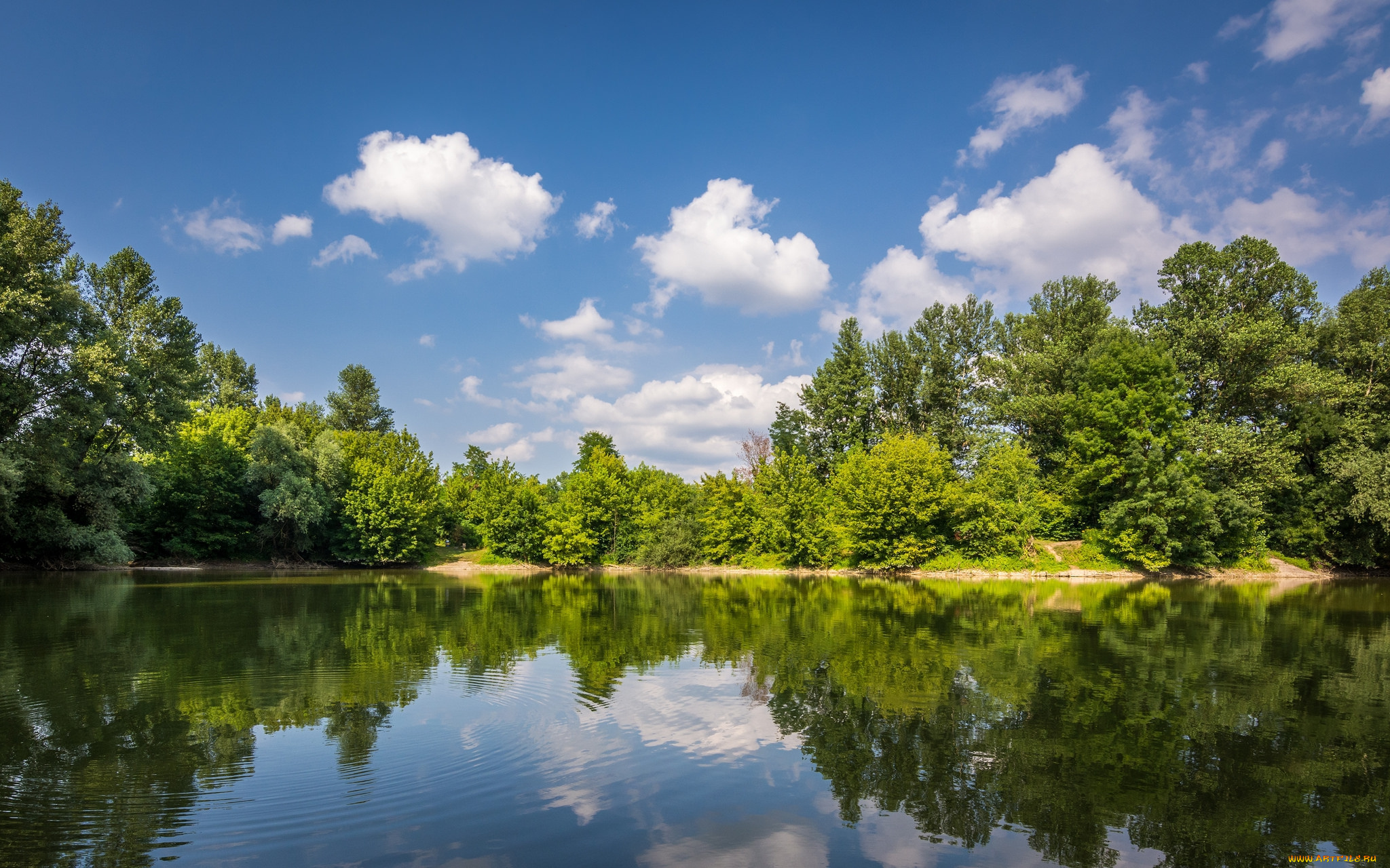природа, реки, озера, лес, река