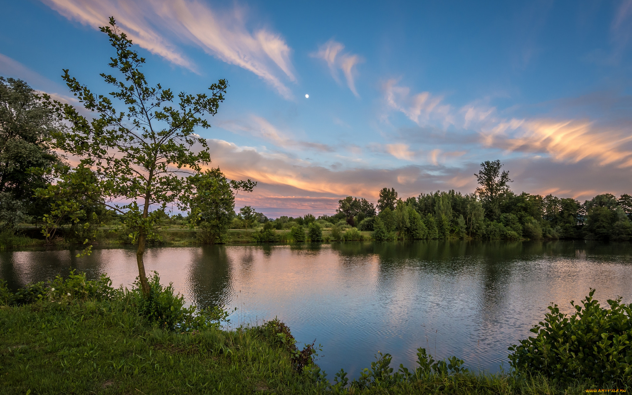 природа, реки, озера, река, лес