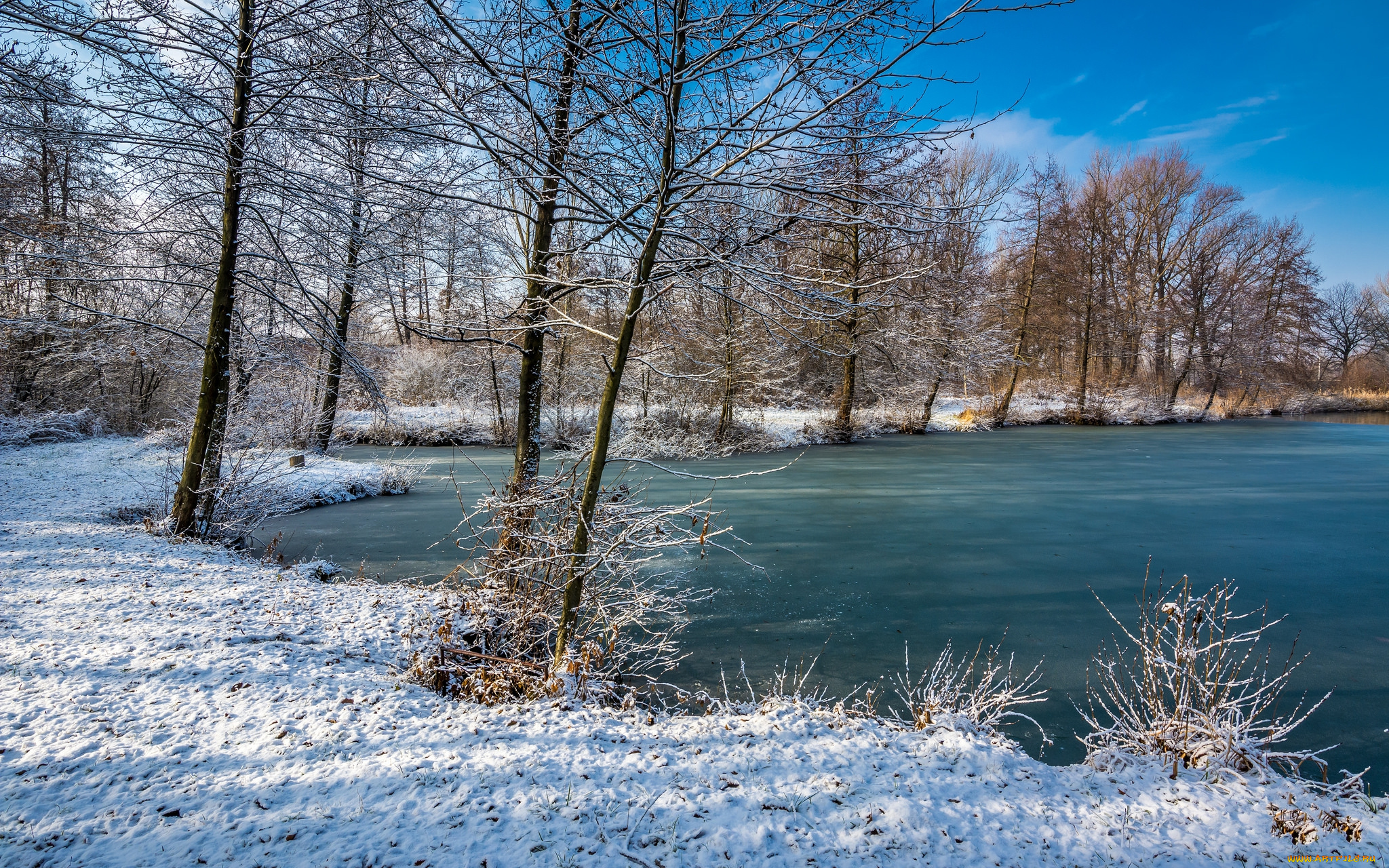 природа, реки, озера, река, лес