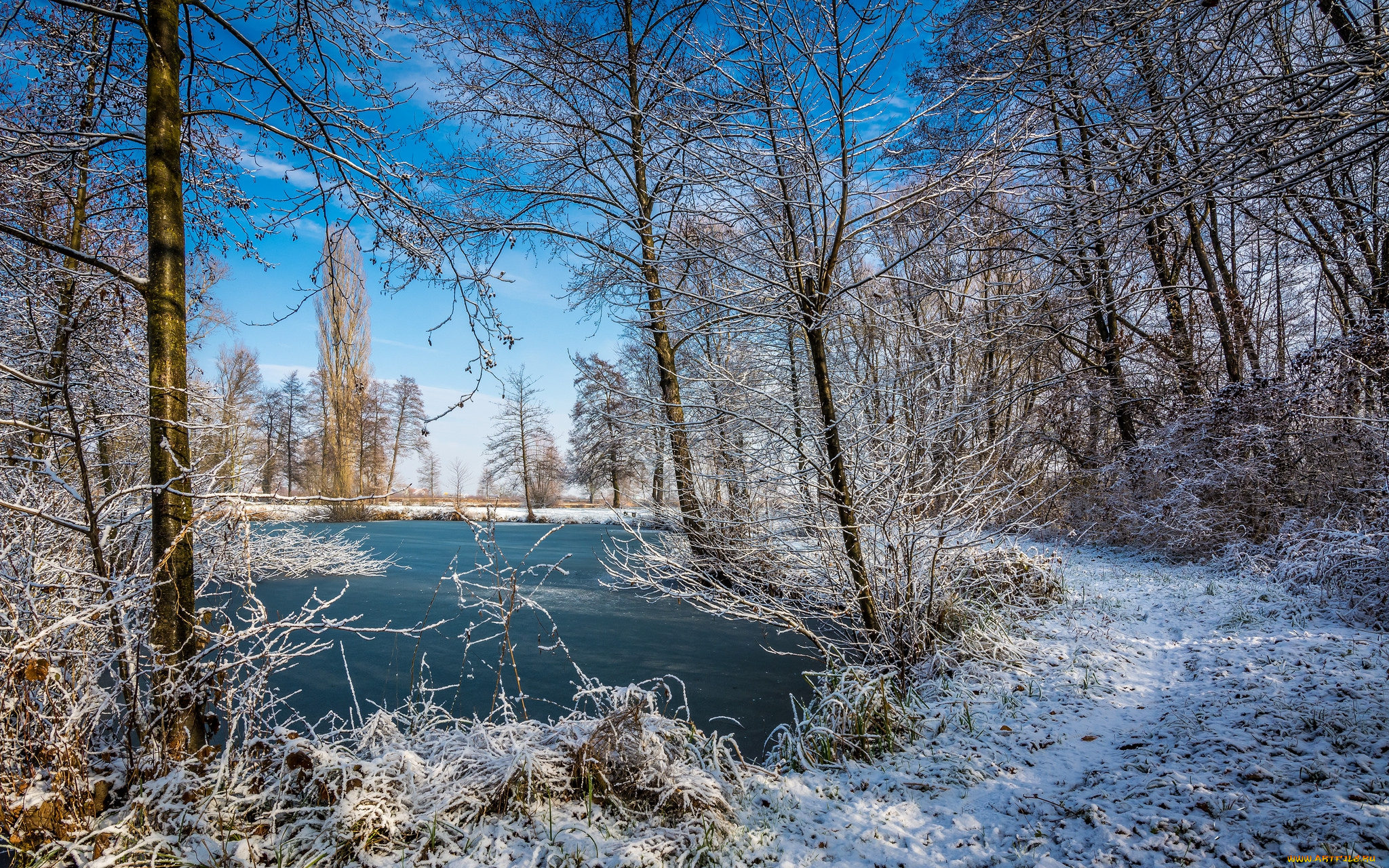 природа, реки, озера, река, лес