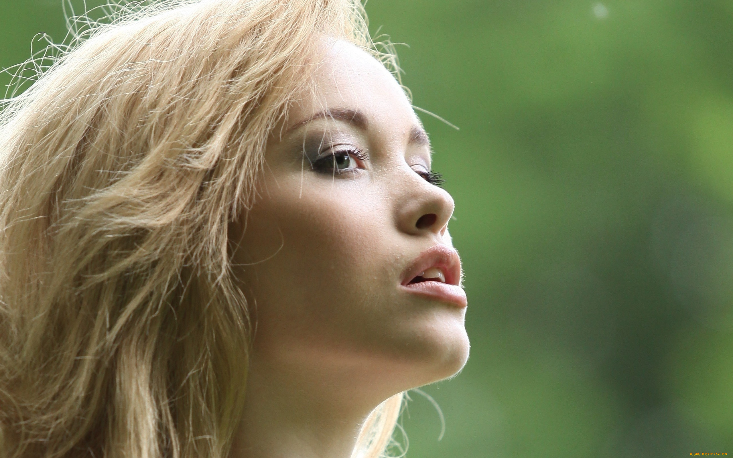 девушки, alissa, white, alissa, white, лицо, блондинка, alisa, g