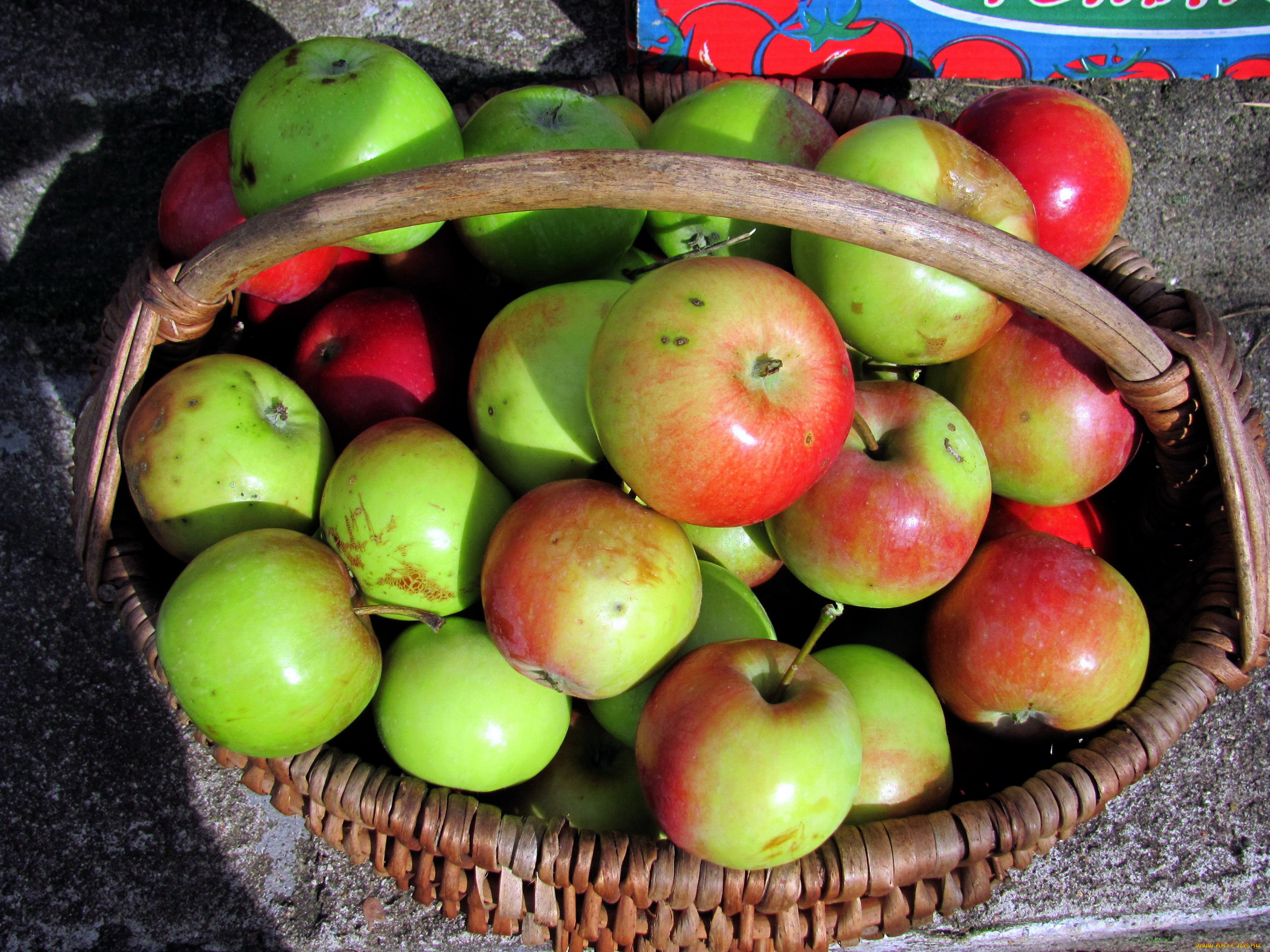 еда, Яблоки, корзинка, урожай
