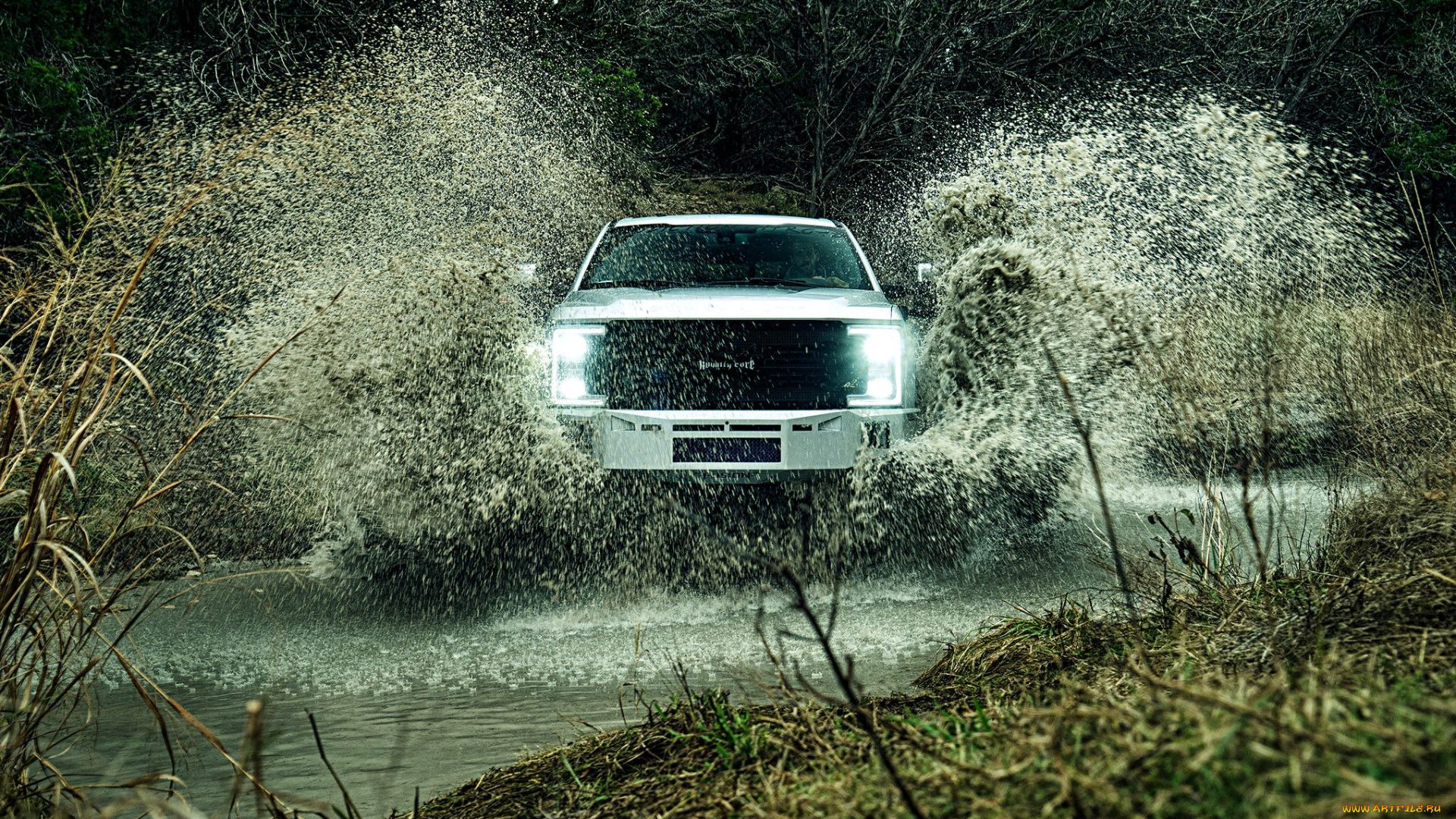 2017-ford-f350-legacy, автомобили, custom, pick-up, ford