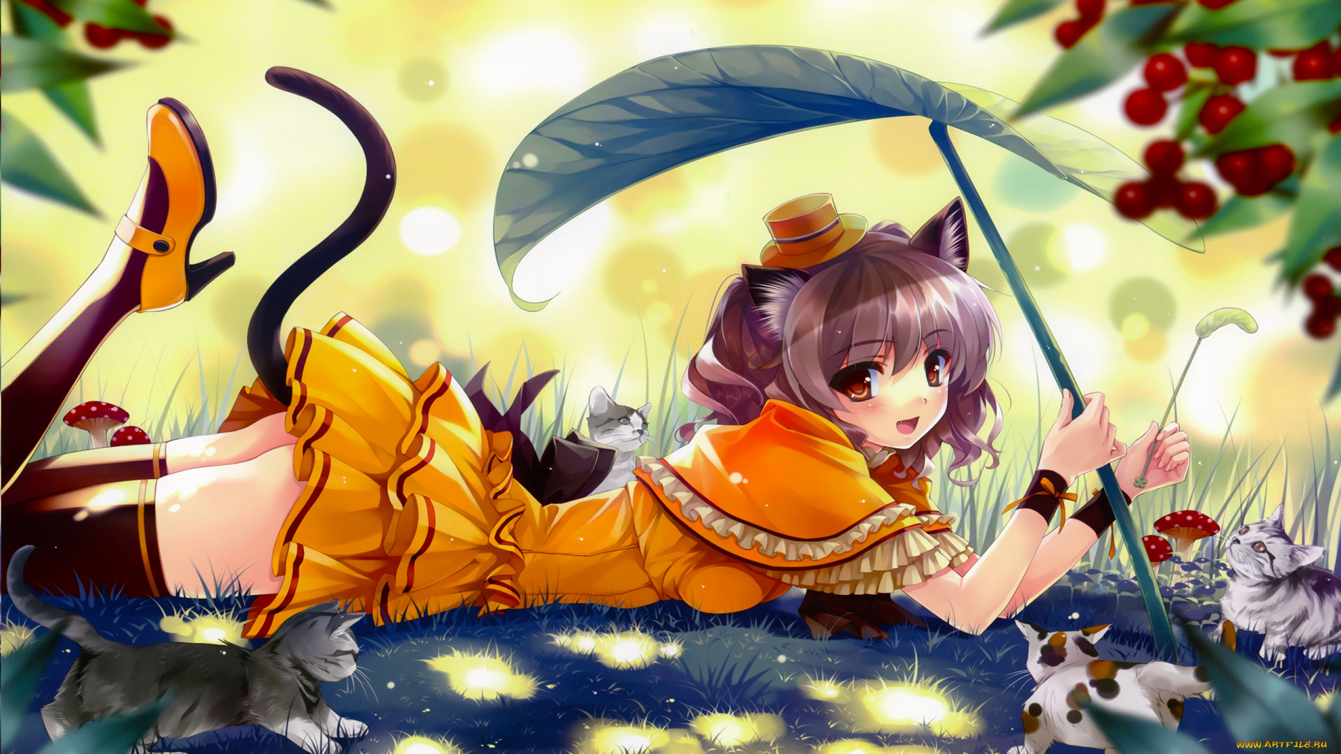 аниме, животные, , существа, фон, взгляд, девушка