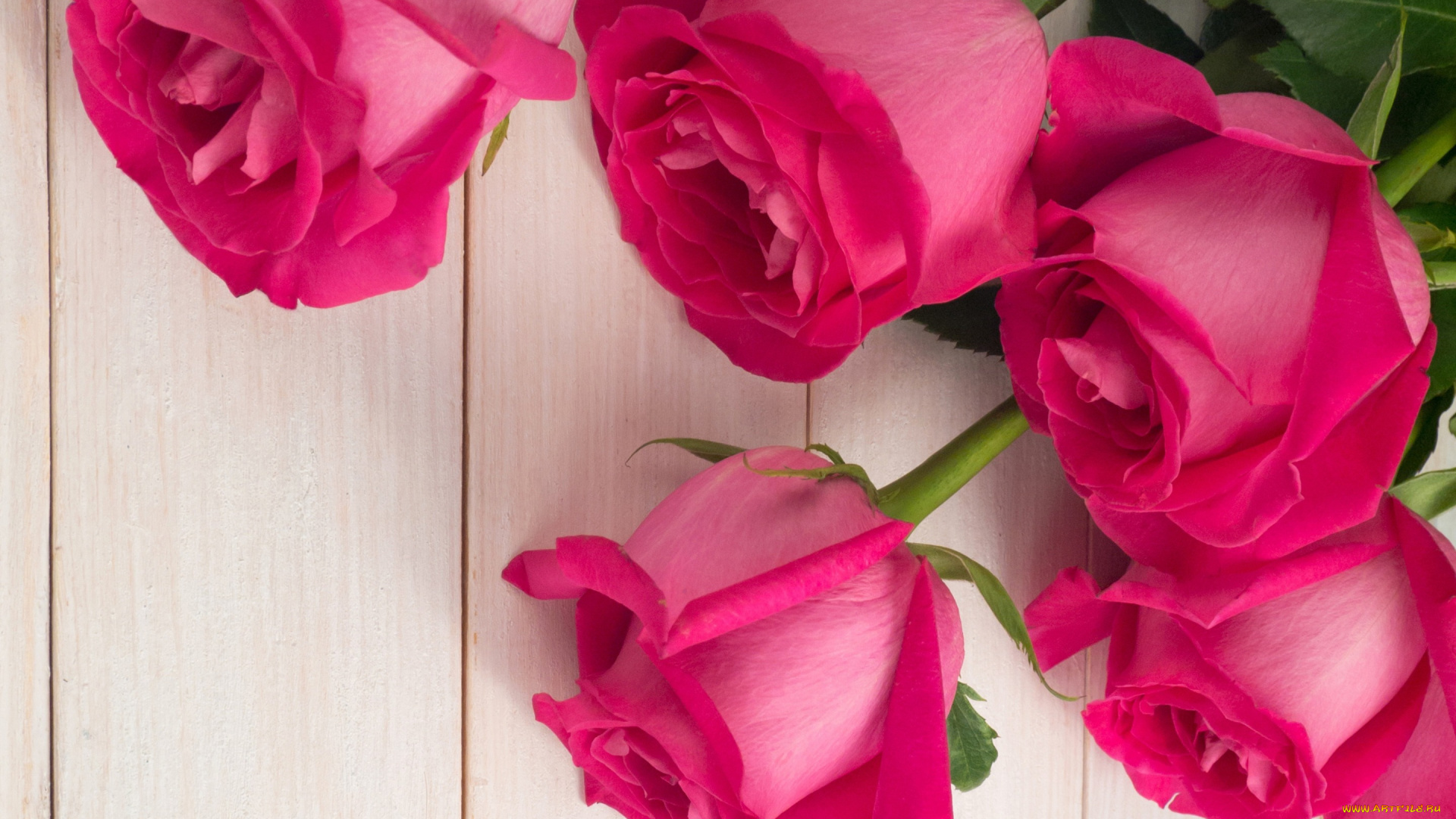 цветы, розы, бутоны, розовые, roses, pink, букет, bud, flowers