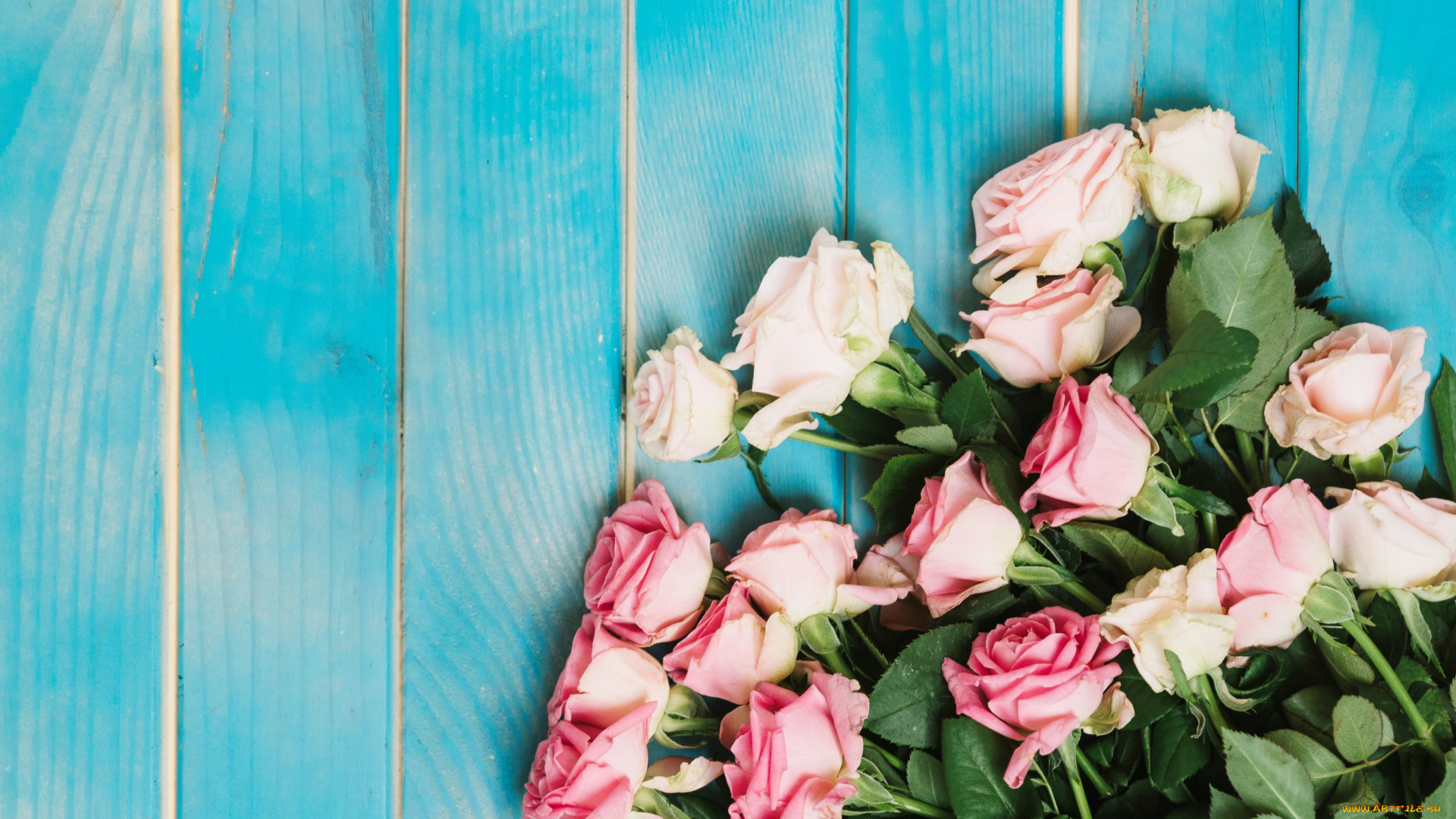 цветы, розы, roses, pink, romantic, tender, fresh, flowers, розовые, бутоны, wood