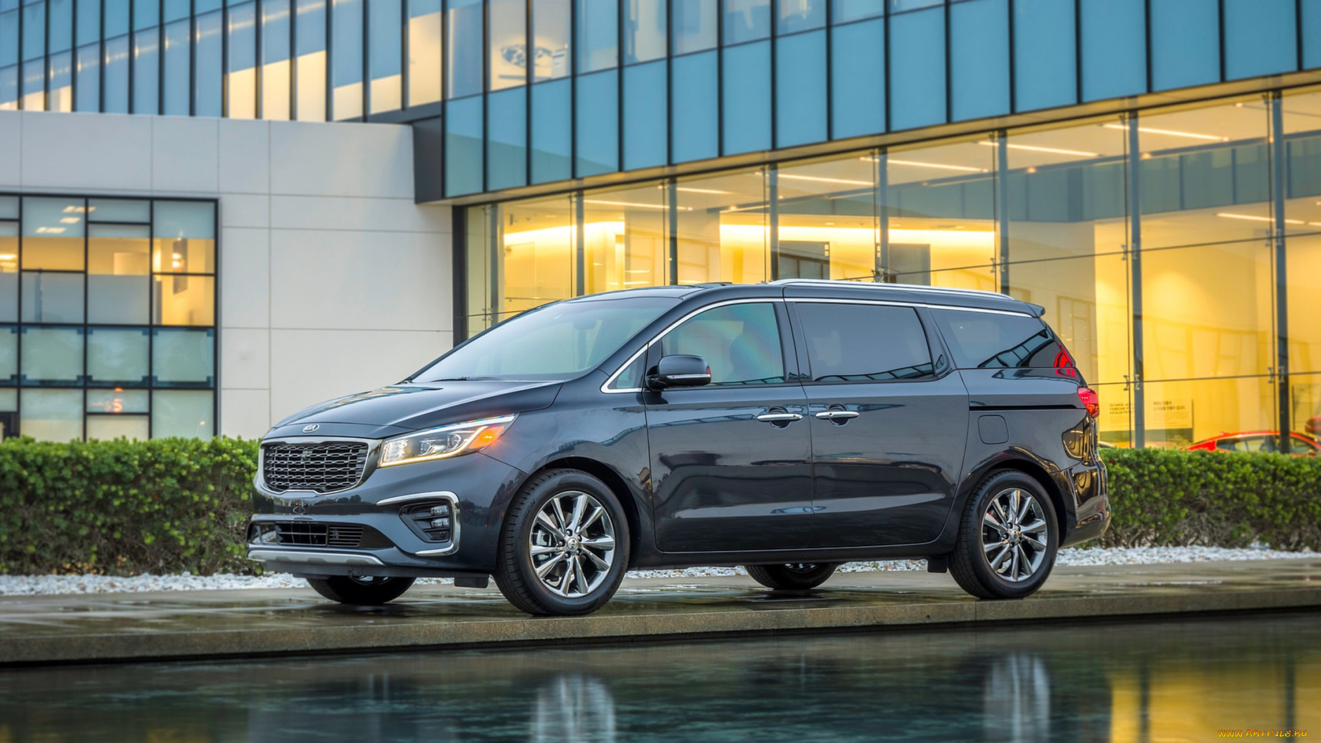 kia, sedona, 2019, автомобили, kia, 2019, sedona