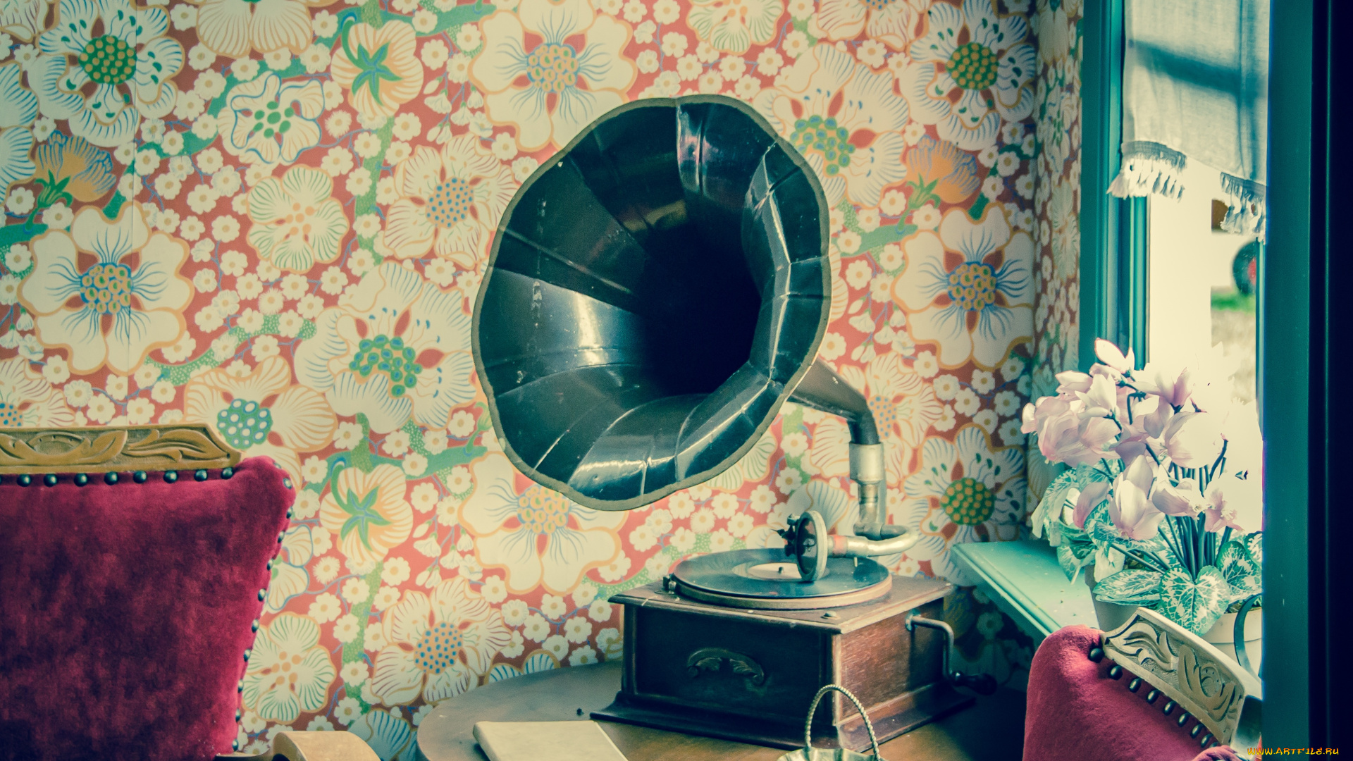 музыка, -музыкальные, инструменты, граммофон