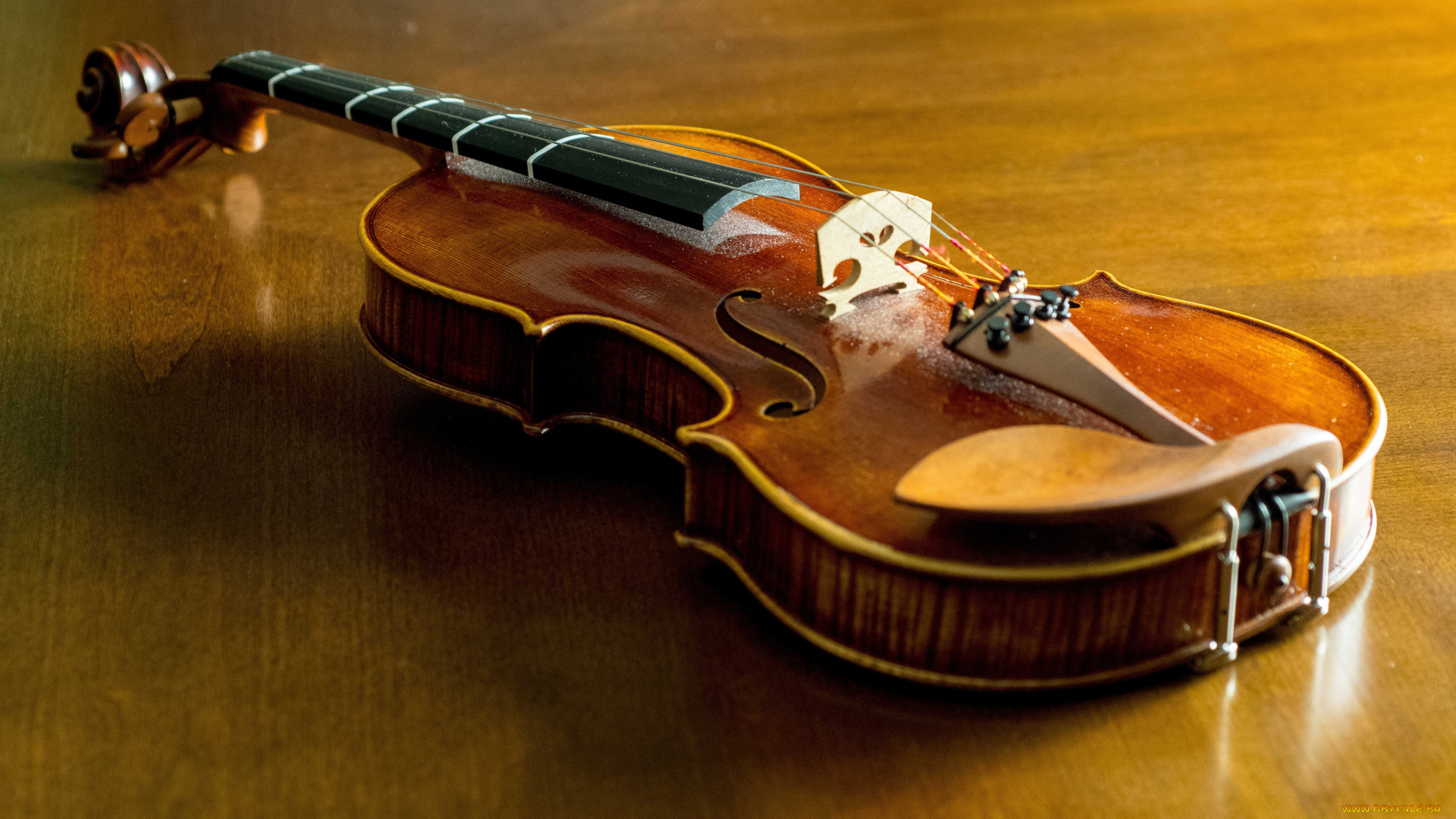 музыка, -музыкальные, инструменты, скрипка