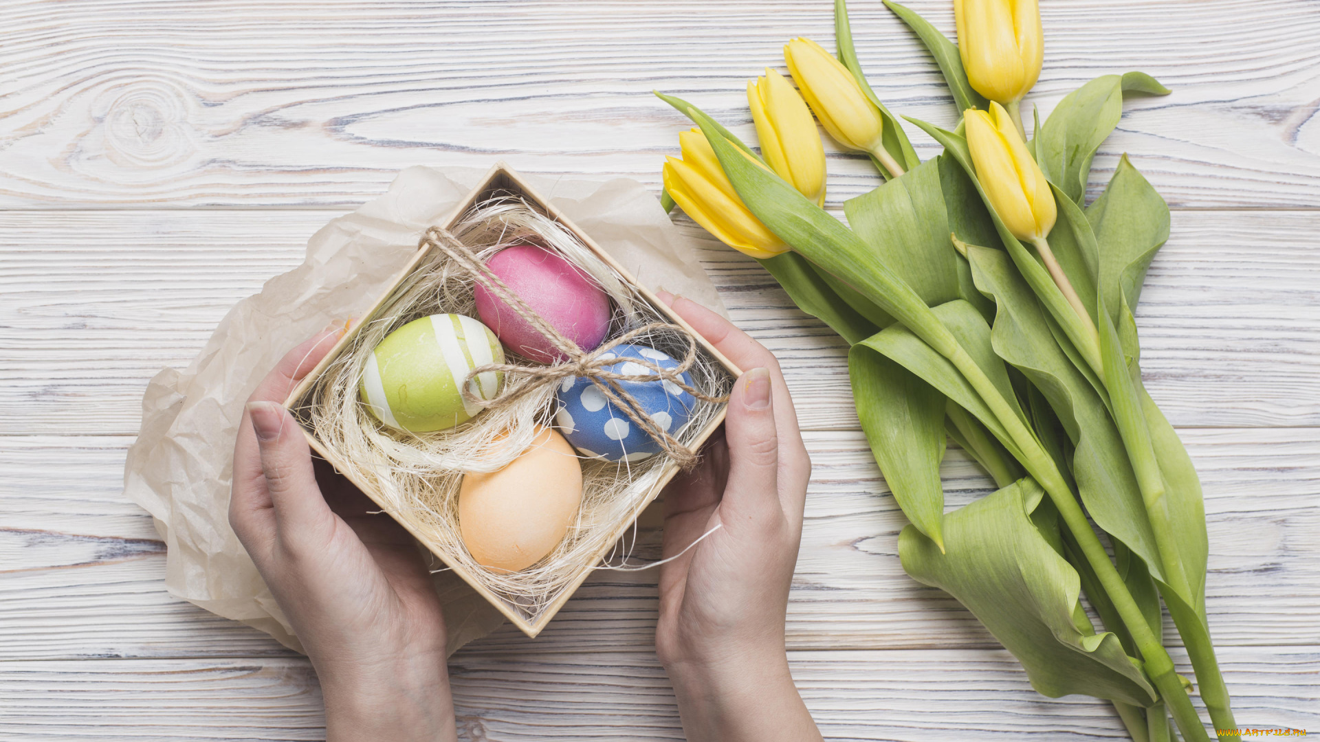 праздничные, пасха, цветы, яйца