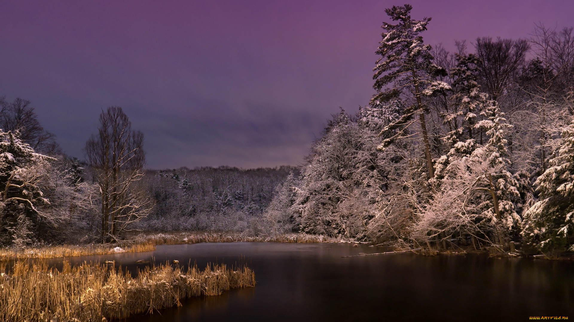 природа, реки, озера, ночь, озеро
