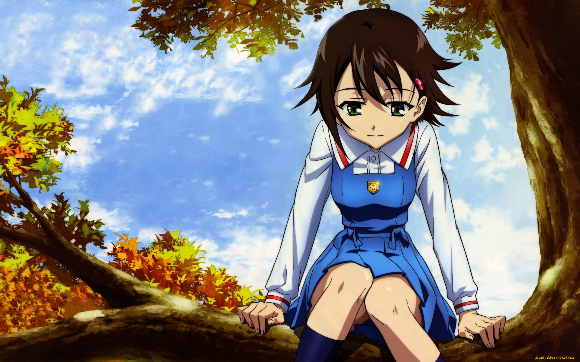 аниме, unknown, , другое, , девушка, осень, дерево, форма, ветка