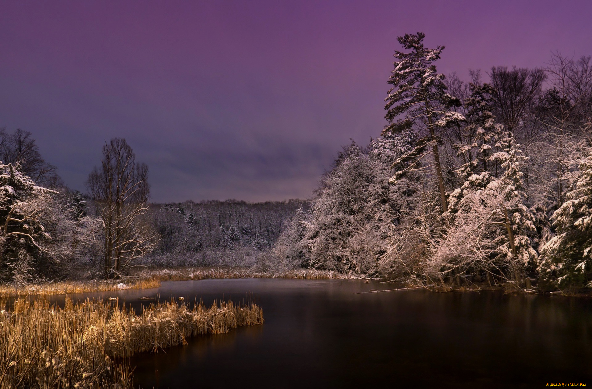 природа, реки, озера, ночь, озеро
